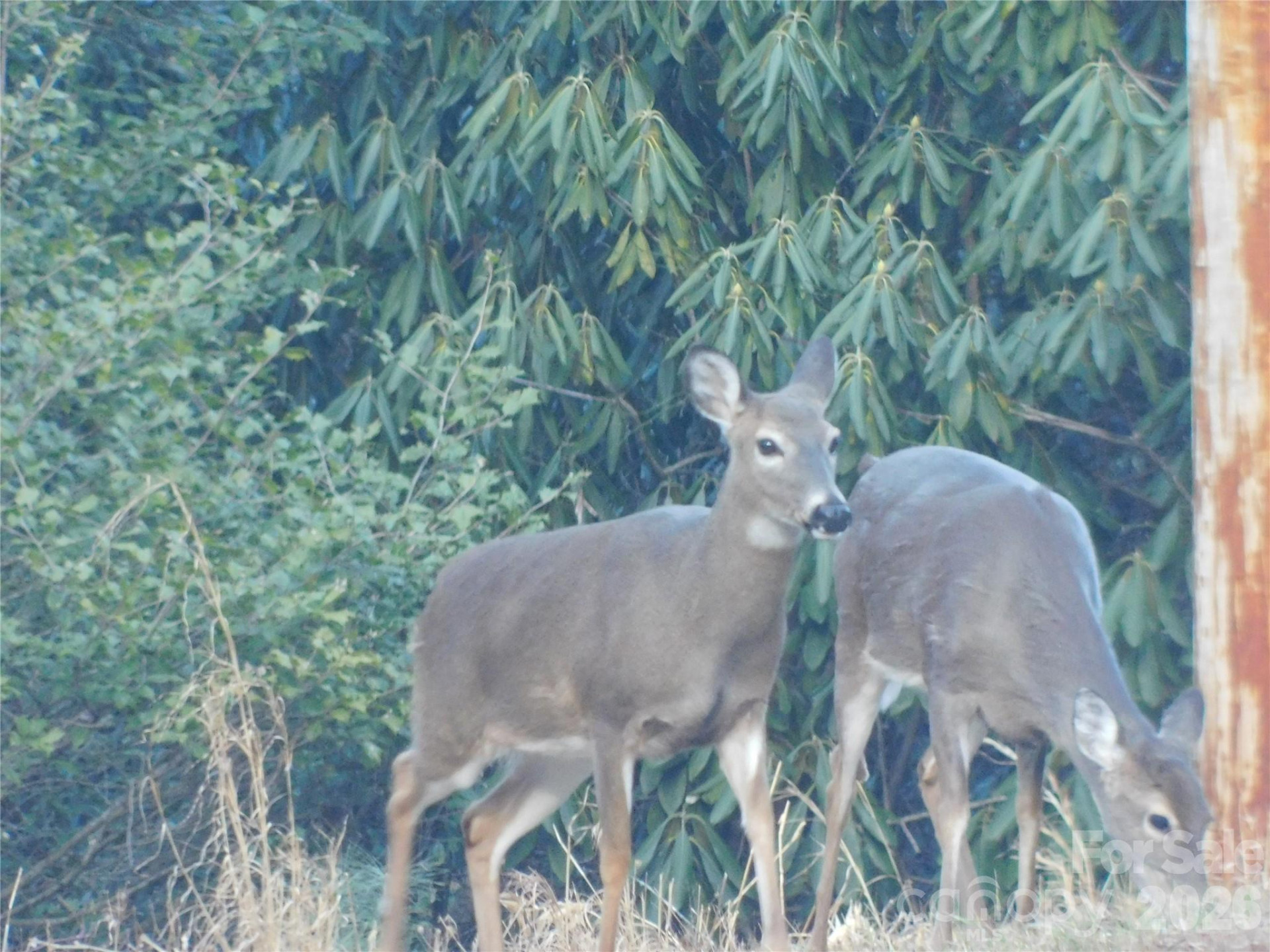 154 Laurel Thicket Drive #98 - Photo 18