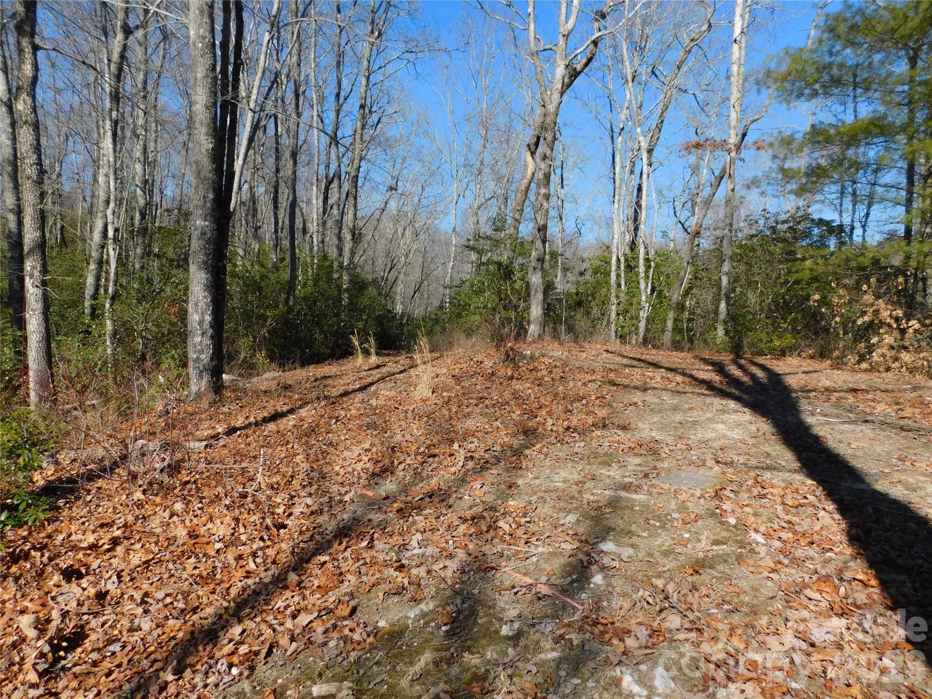 154 Laurel Thicket Drive #98 - Photo 19