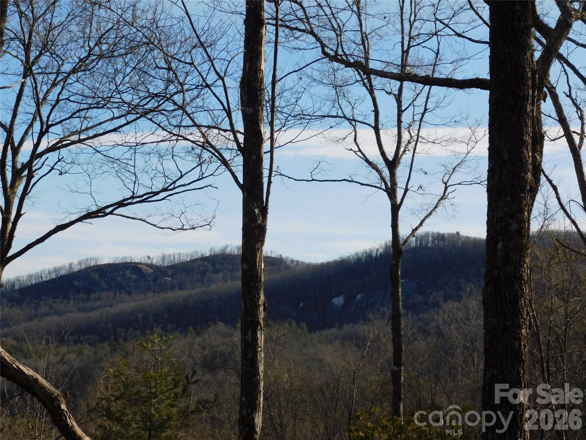 154 Laurel Thicket Drive #98 - Photo 20