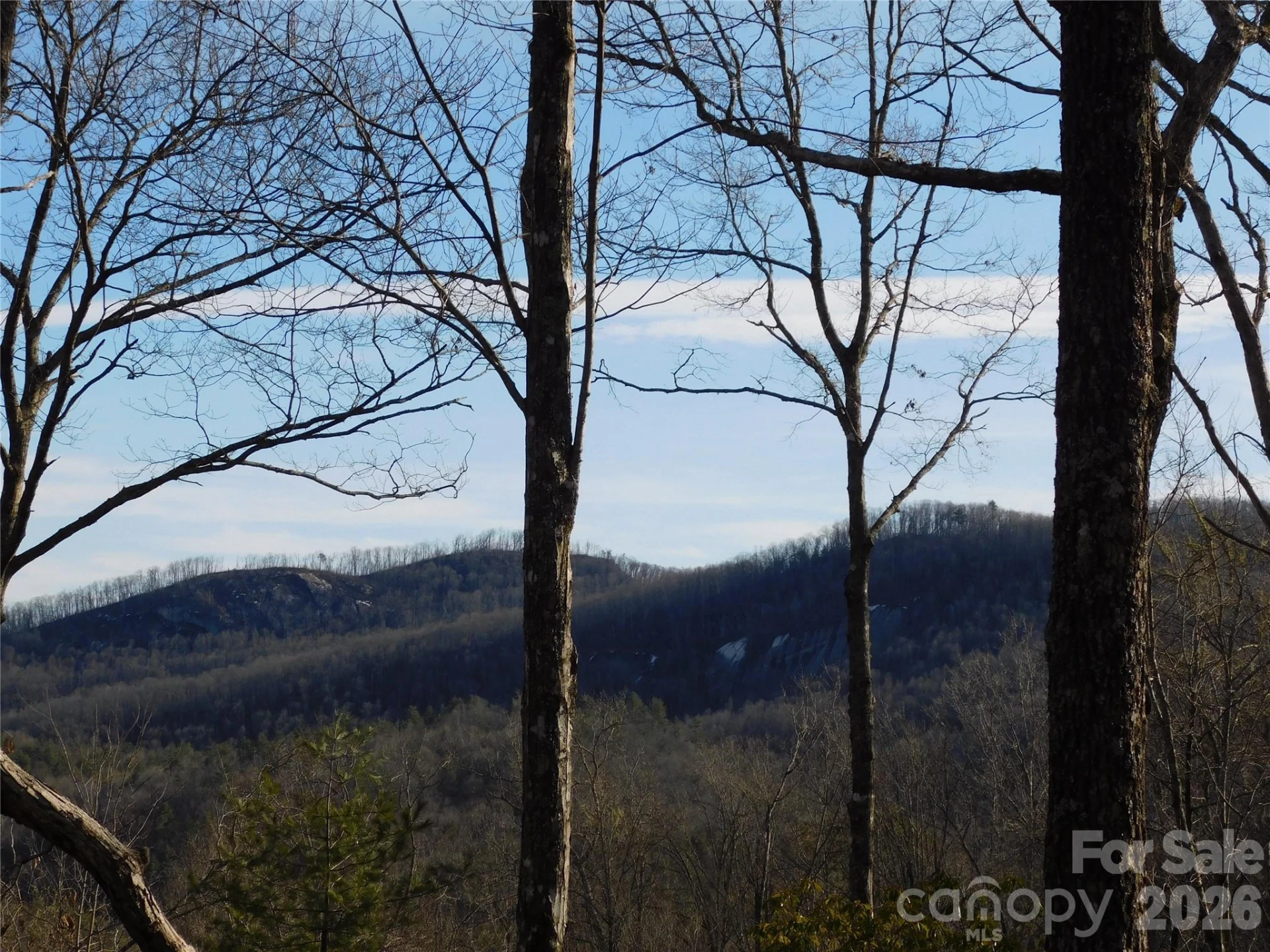 154 Laurel Thicket Drive #98 - Photo 20