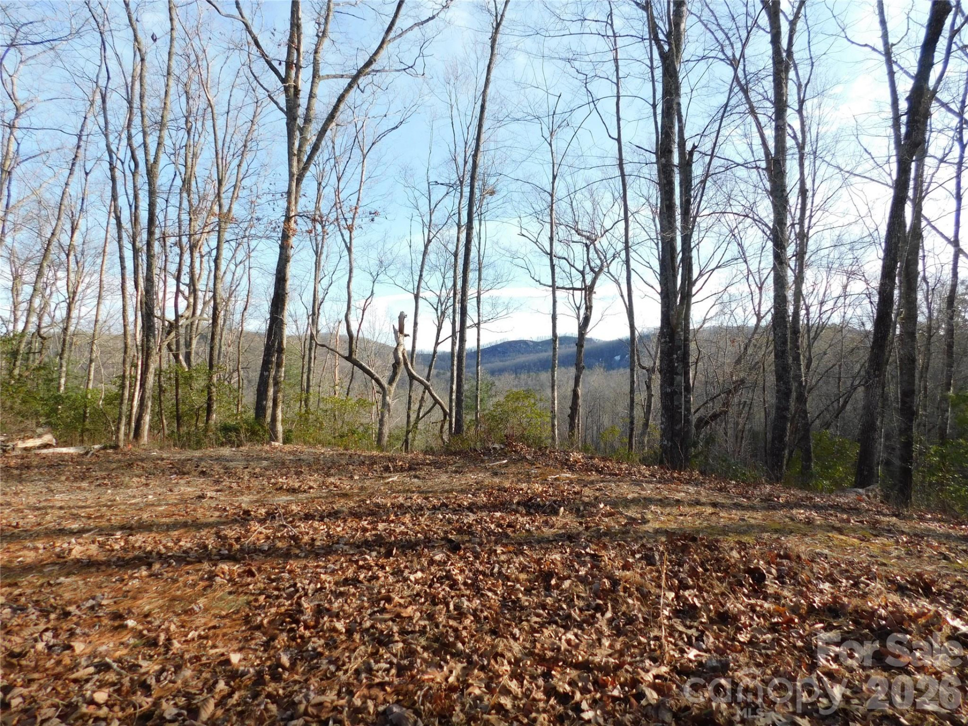 154 Laurel Thicket Drive #98 - Photo 3