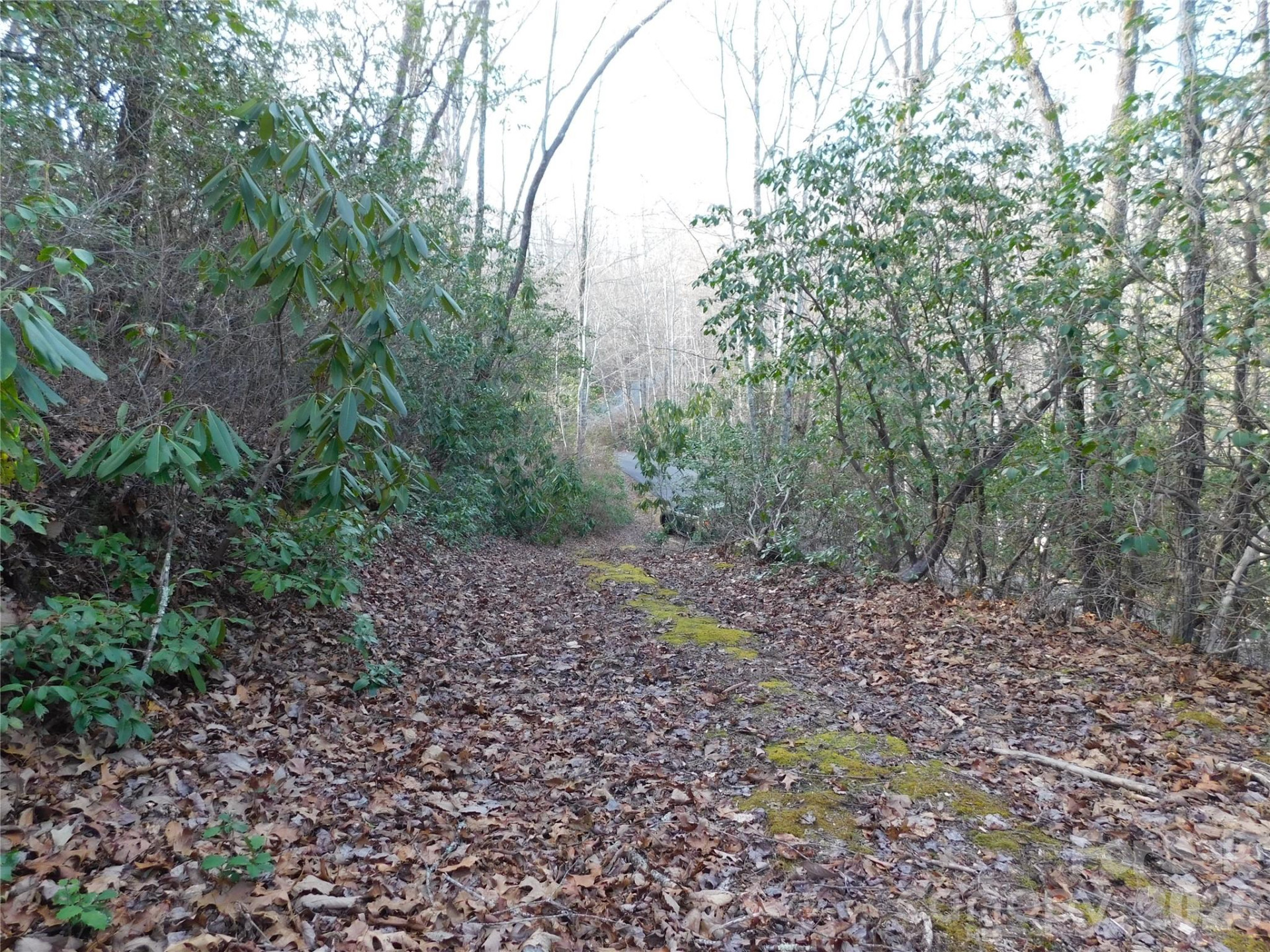 154 Laurel Thicket Drive #98 - Photo 21