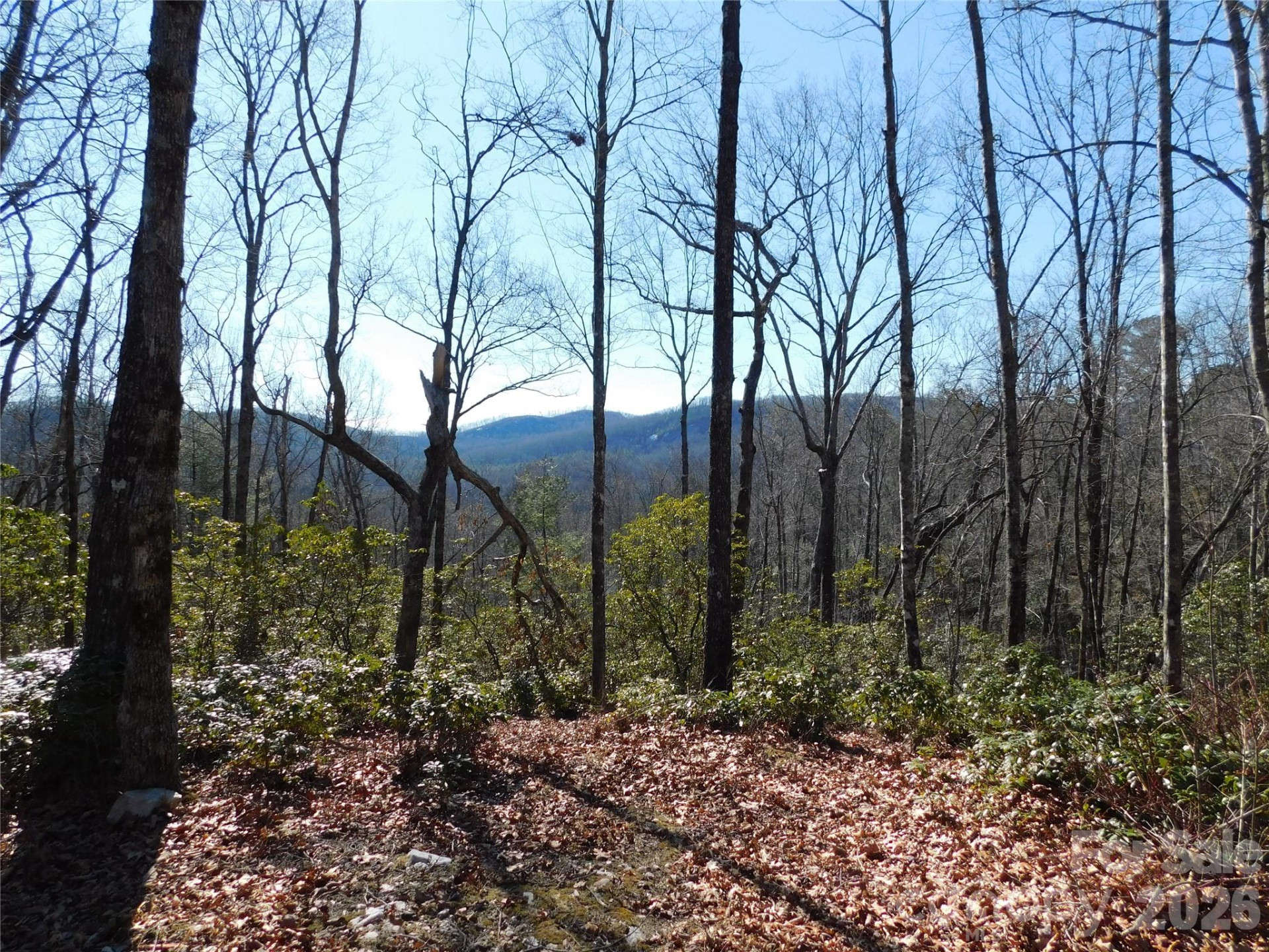 154 Laurel Thicket Drive #98 - Photo 22