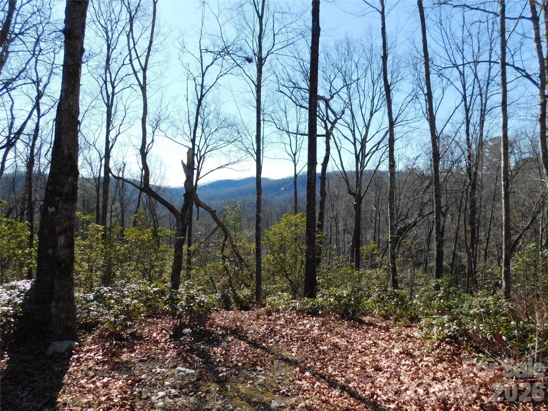 154 Laurel Thicket Drive #98 - Photo 22