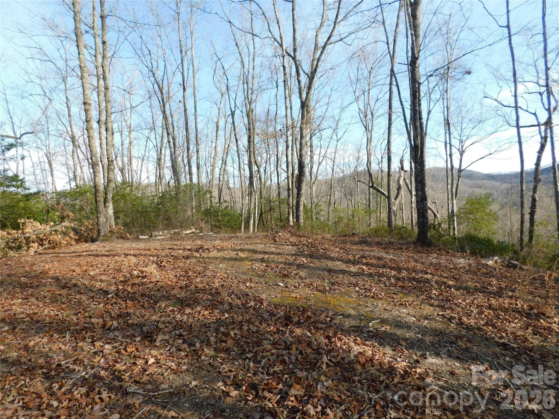 154 Laurel Thicket Drive #98 - Photo 4