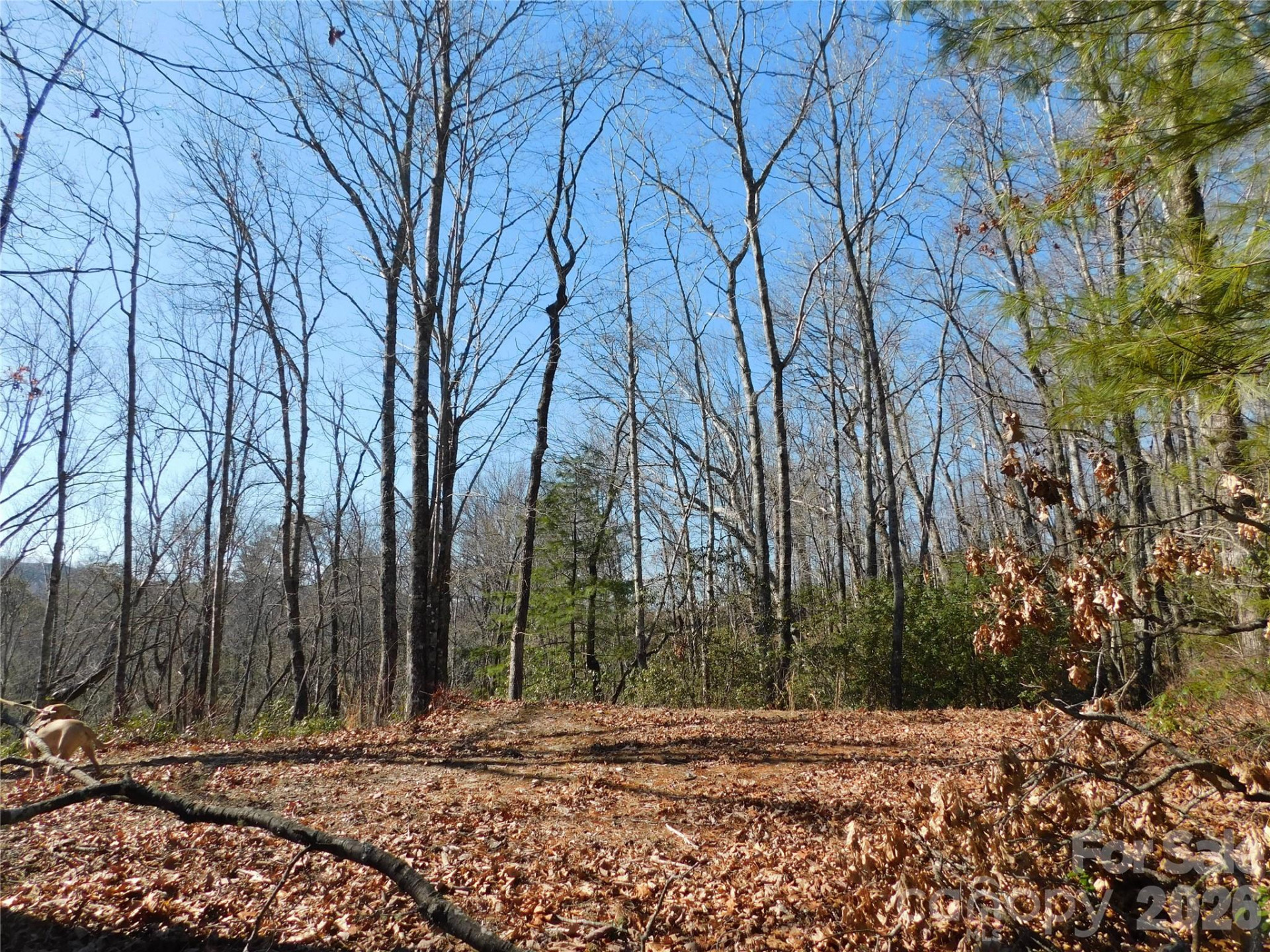 154 Laurel Thicket Drive #98 - Photo 5