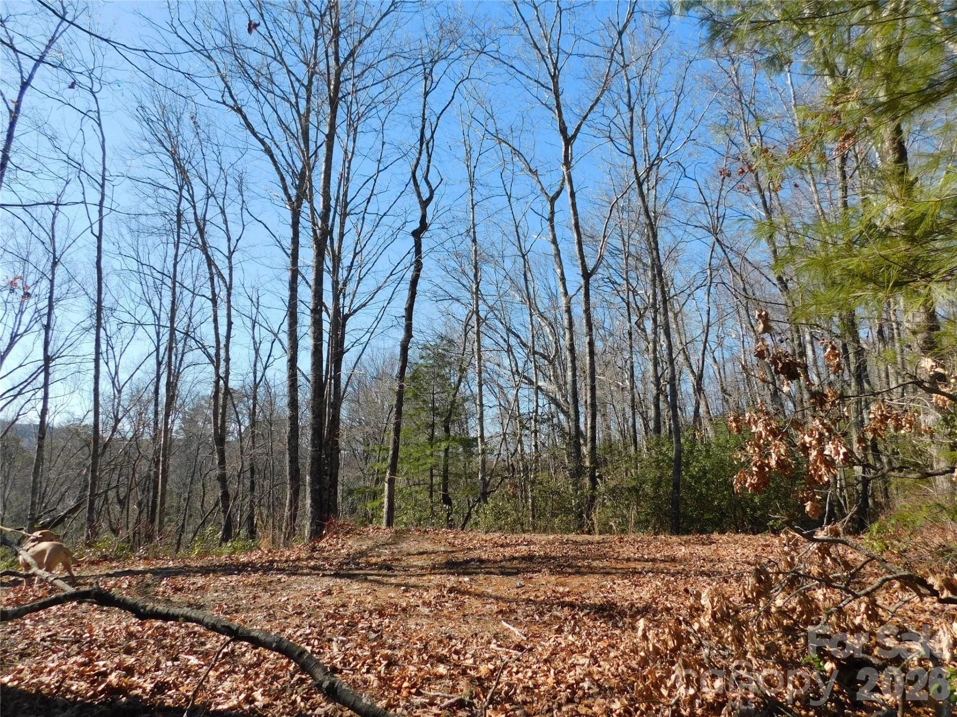 154 Laurel Thicket Drive #98 - Photo 5