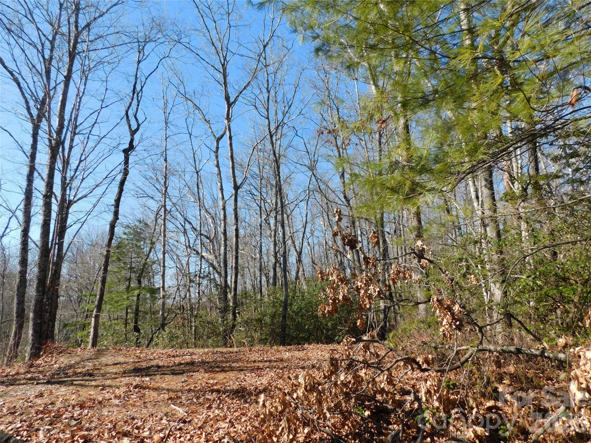 154 Laurel Thicket Drive #98 - Photo 6