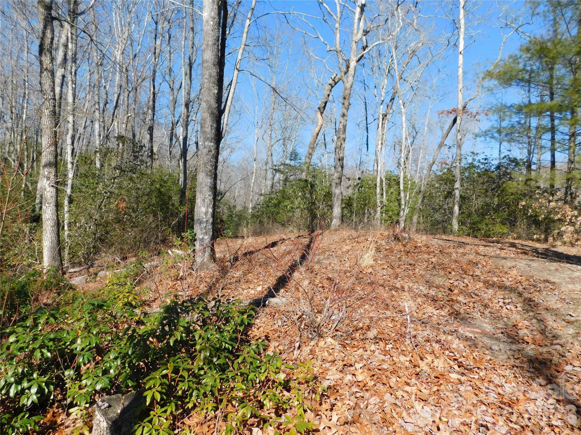 154 Laurel Thicket Drive #98 - Photo 7