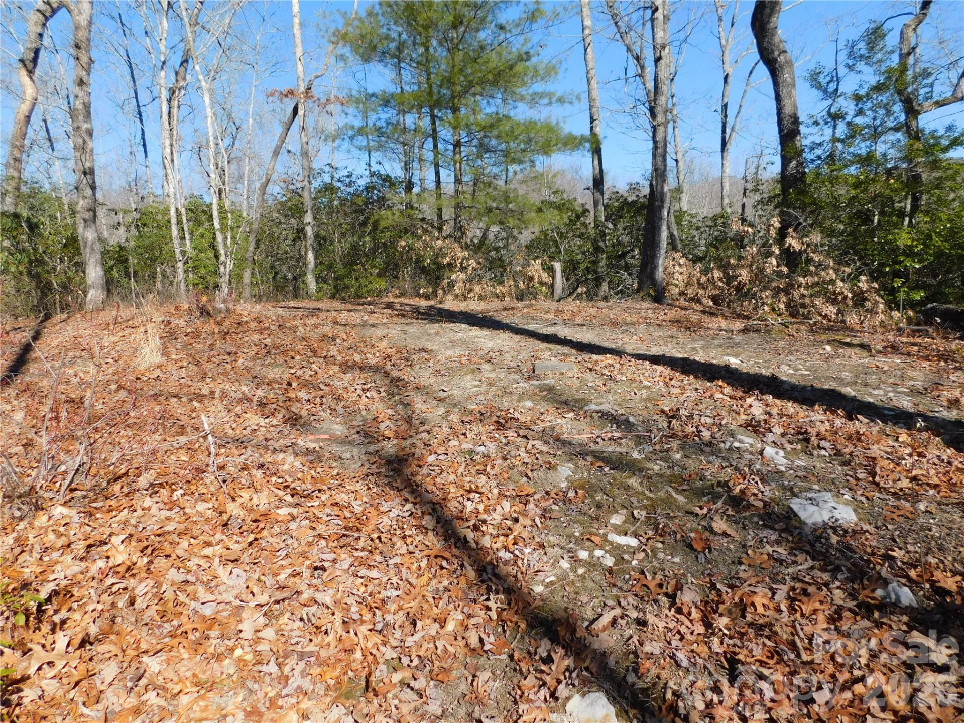 154 Laurel Thicket Drive #98 - Photo 8