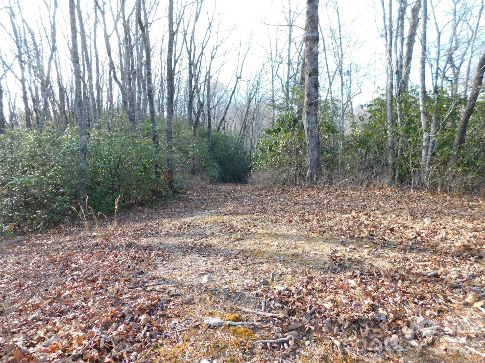 154 Laurel Thicket Drive #98 - Photo 9