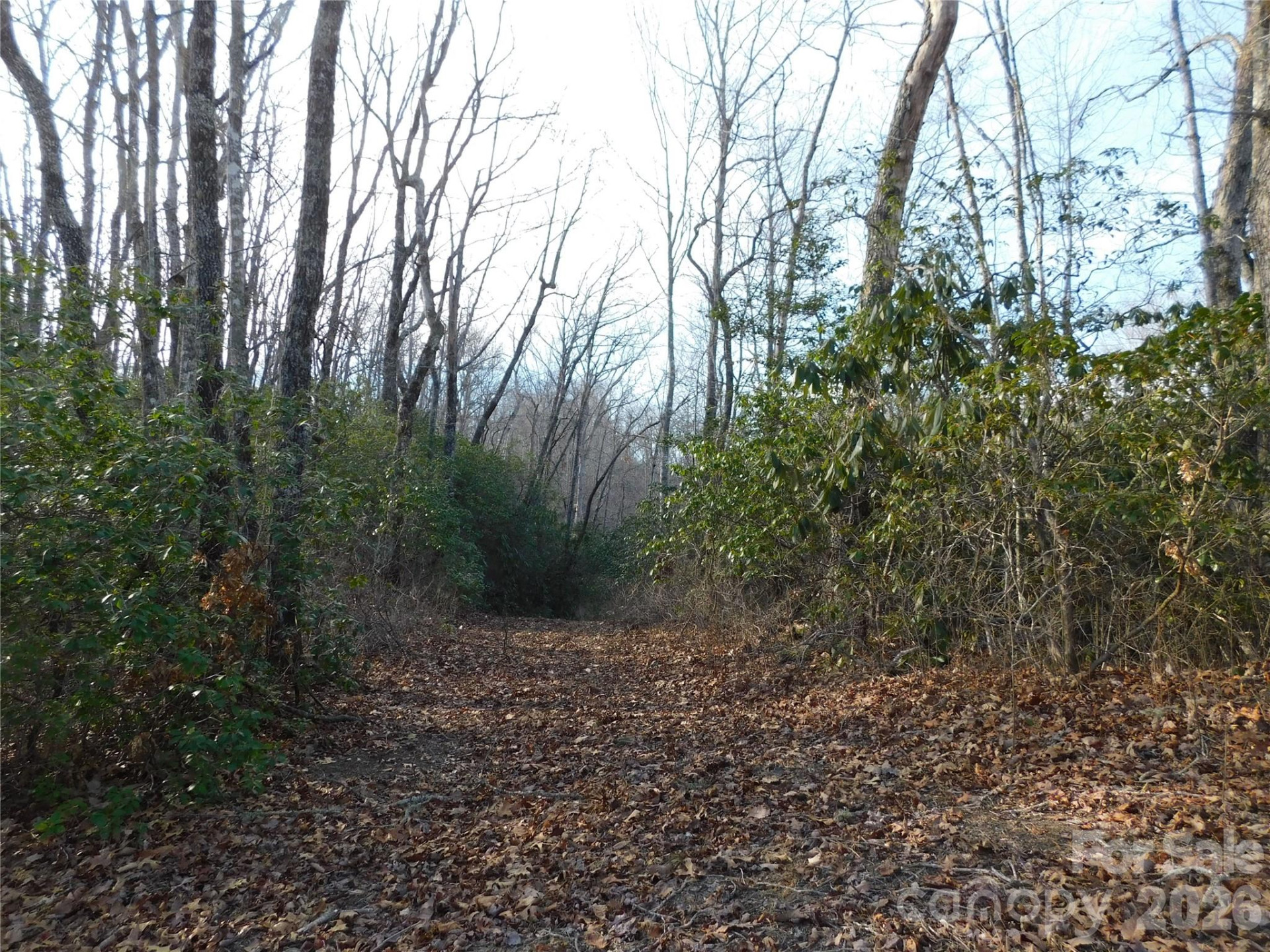 154 Laurel Thicket Drive #98 - Photo 10