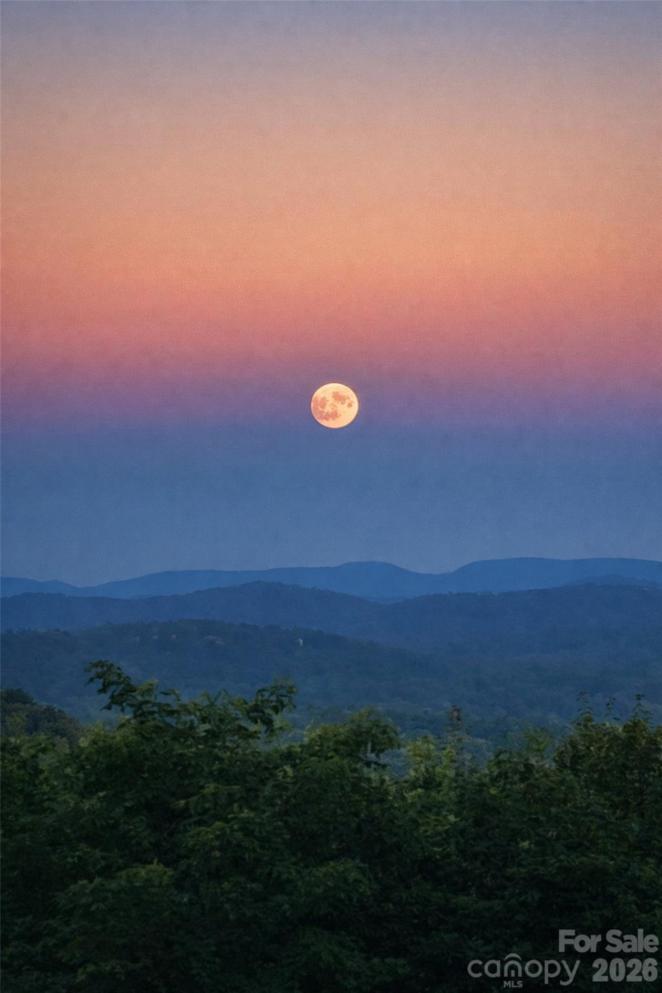 209 Rowland Drive - Photo 27