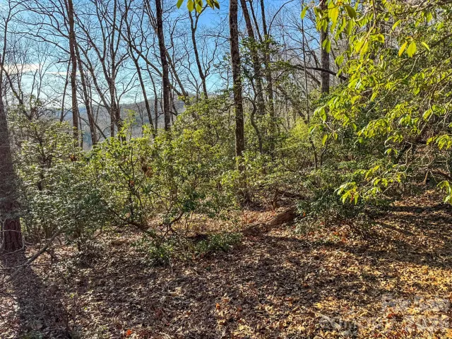 1647 Mills River Way, Horse Shoe, NC, 28742