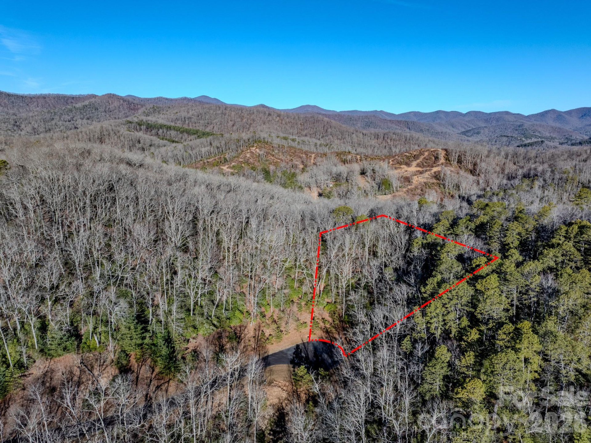 1647 Mills River Way - Photo 2