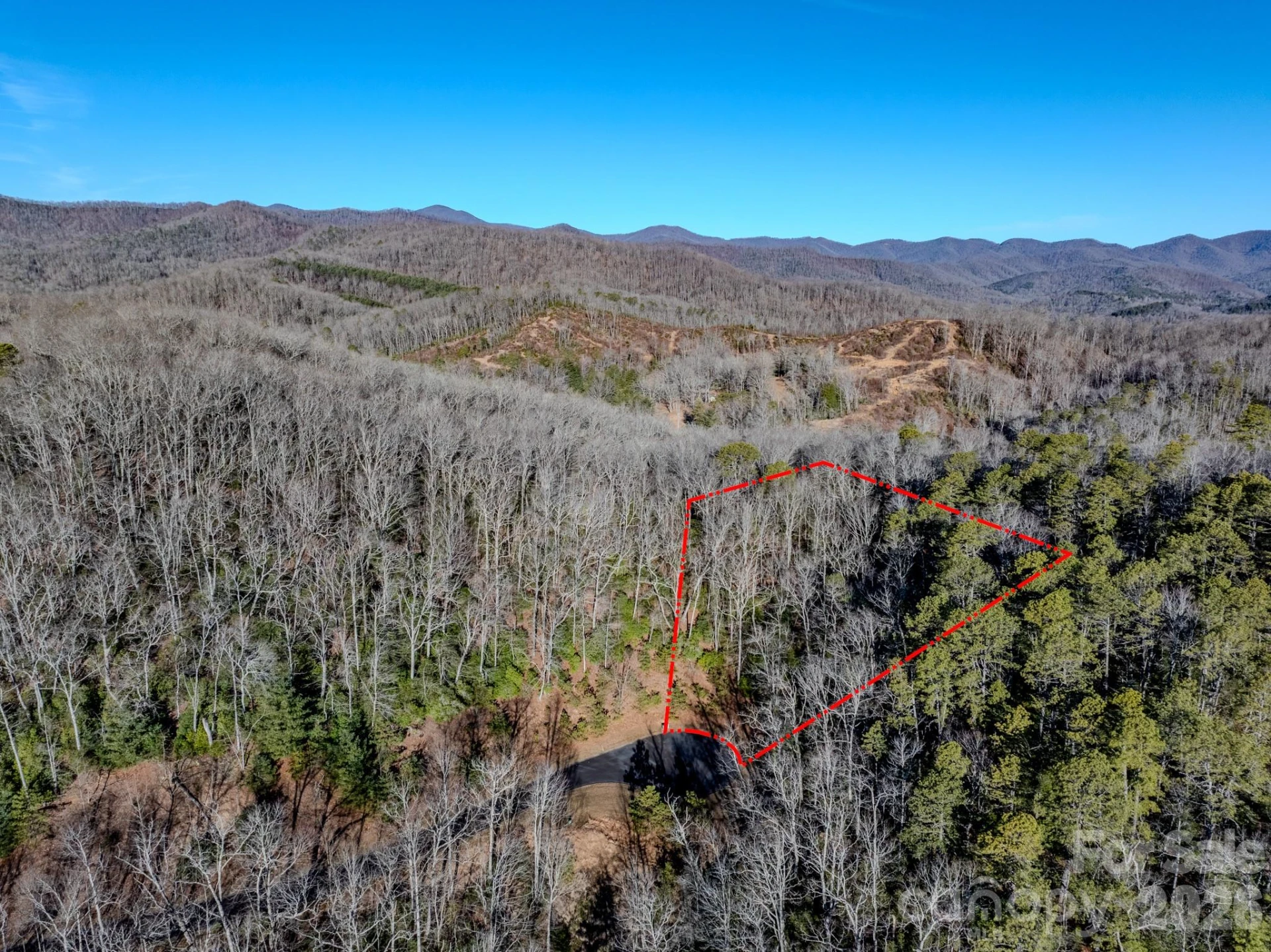 1647 Mills River Way - Photo 2