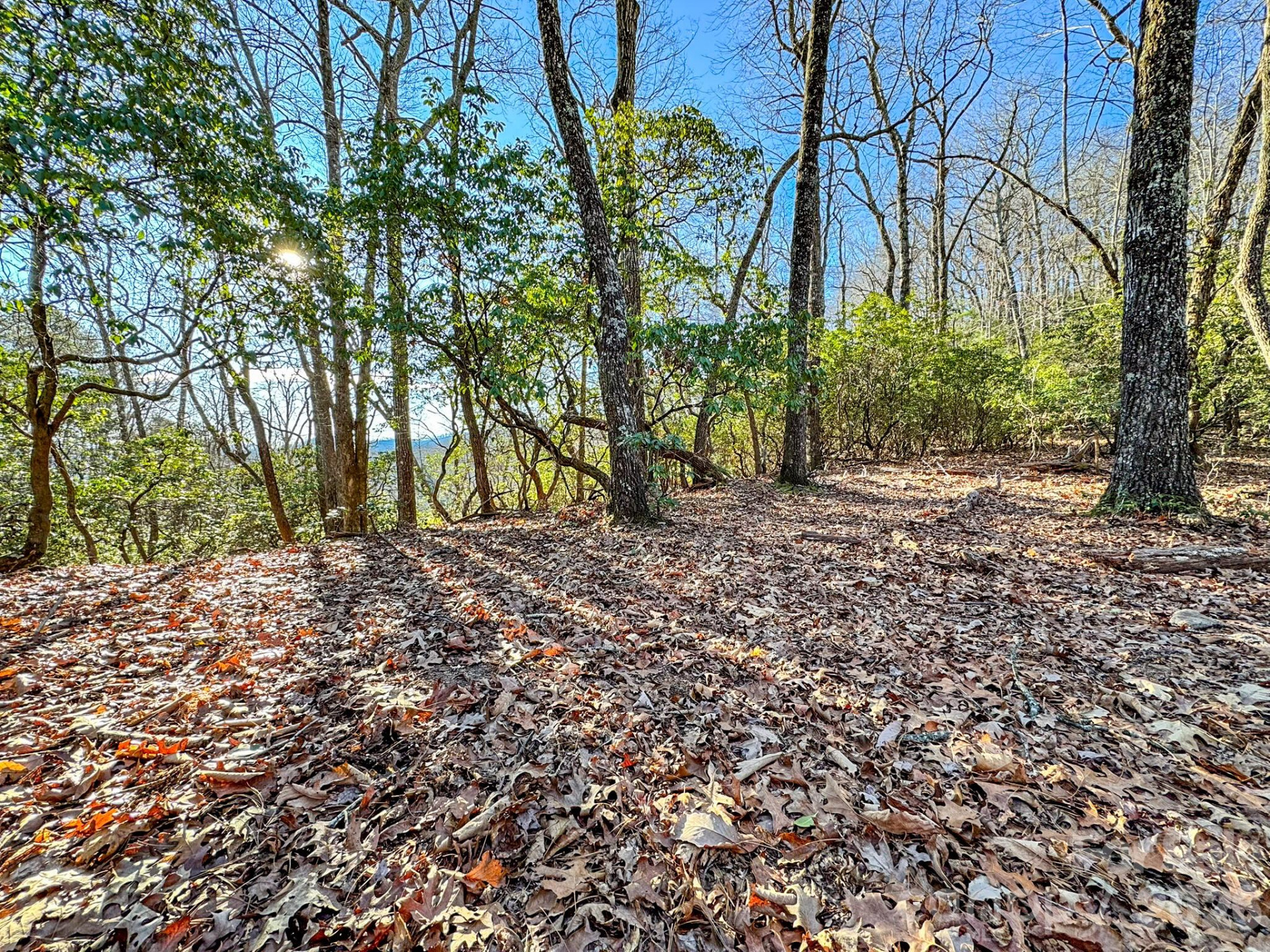 1647 Mills River Way - Photo 11