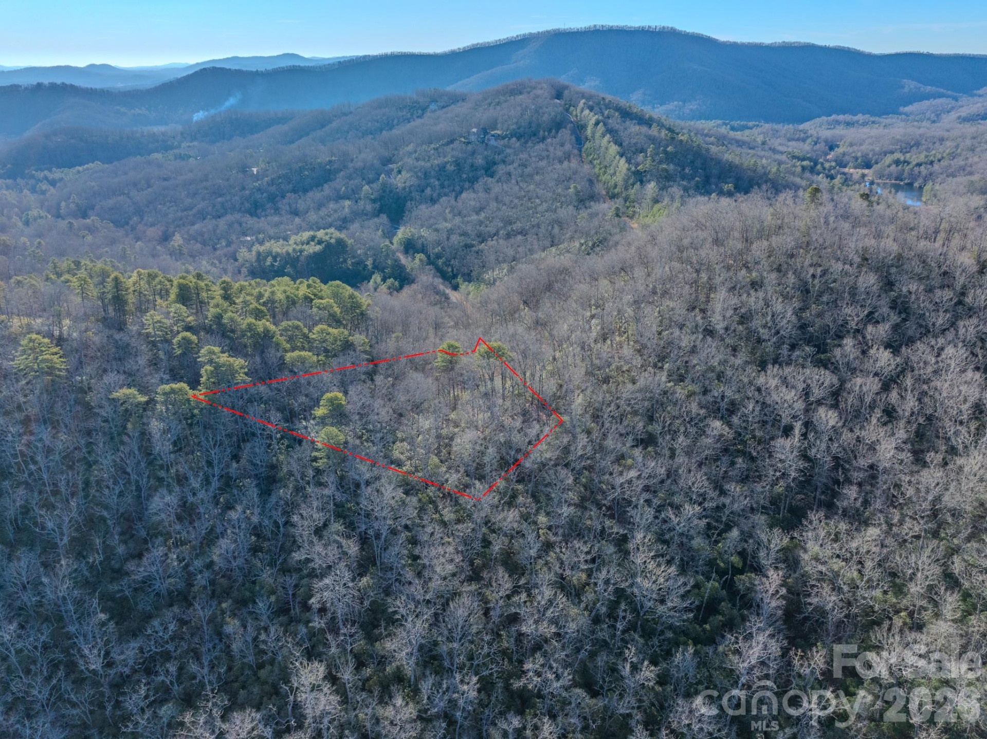 1647 Mills River Way - Photo 12