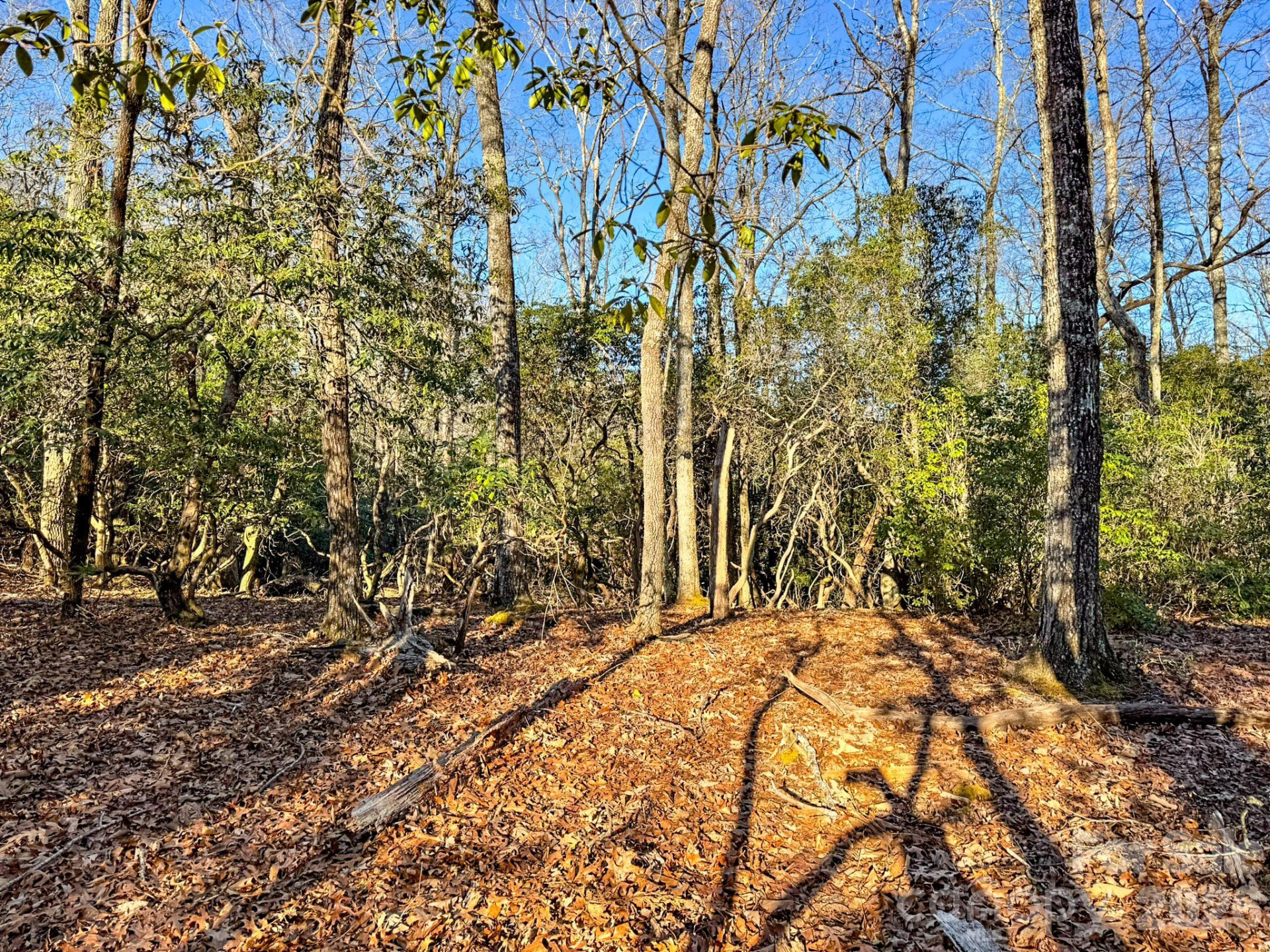 1647 Mills River Way - Photo 17