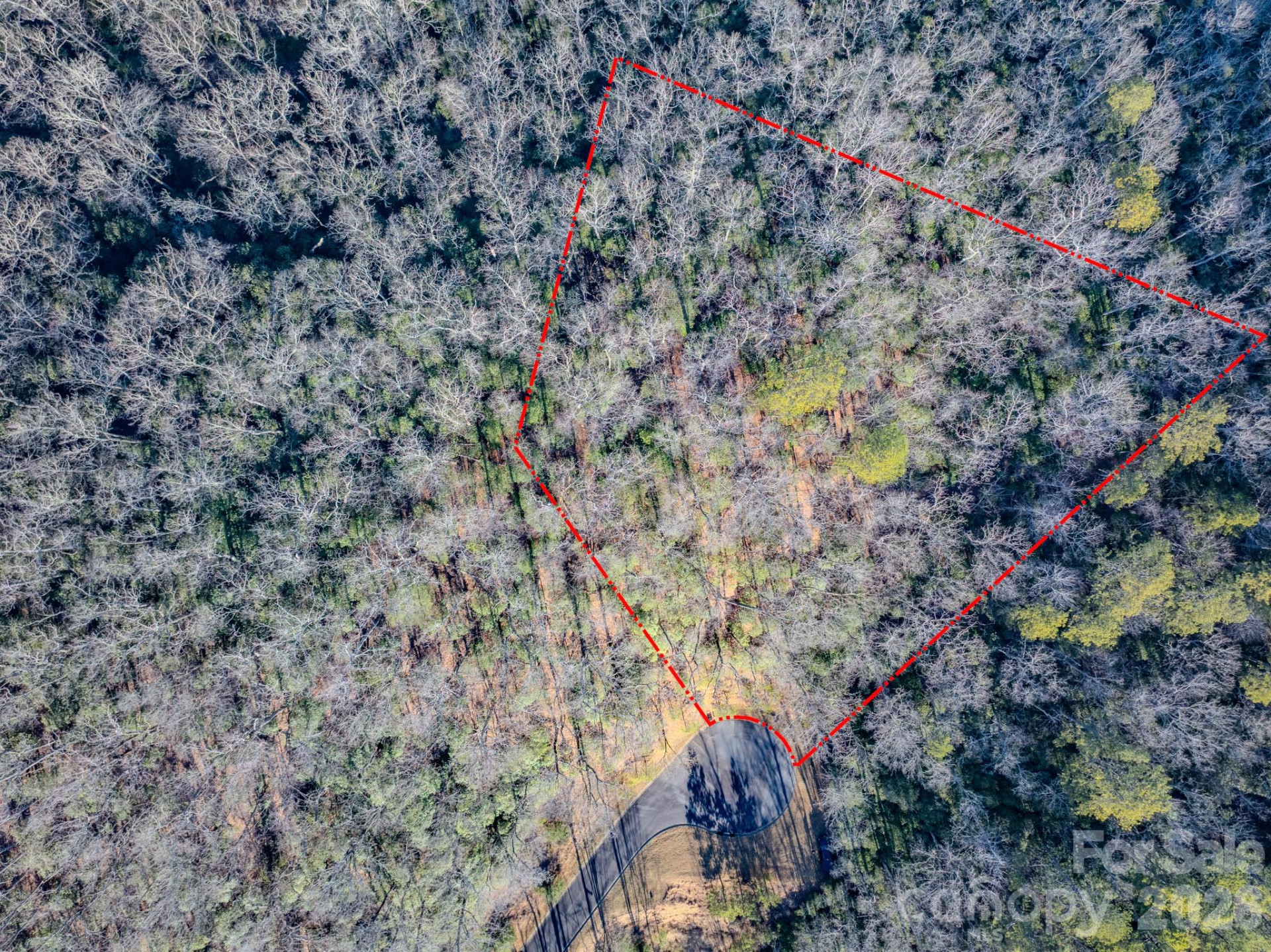 1647 Mills River Way - Photo 18