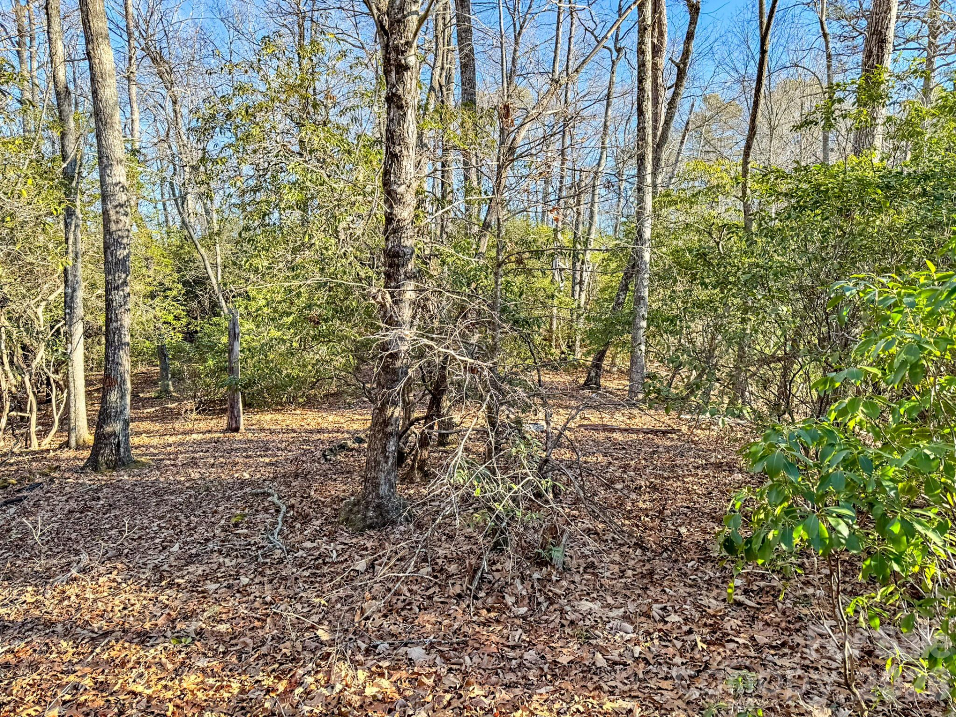 1647 Mills River Way - Photo 19