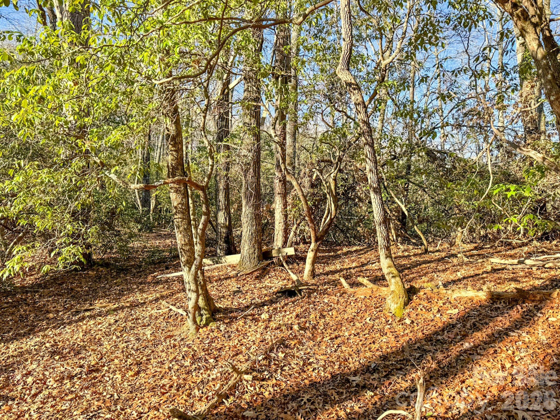 1647 Mills River Way - Photo 3