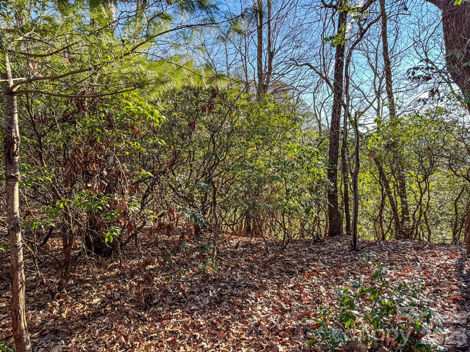 1647 Mills River Way - Photo 21