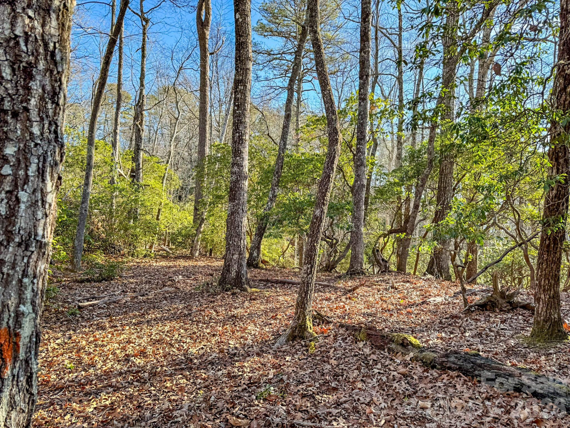 1647 Mills River Way - Photo 23