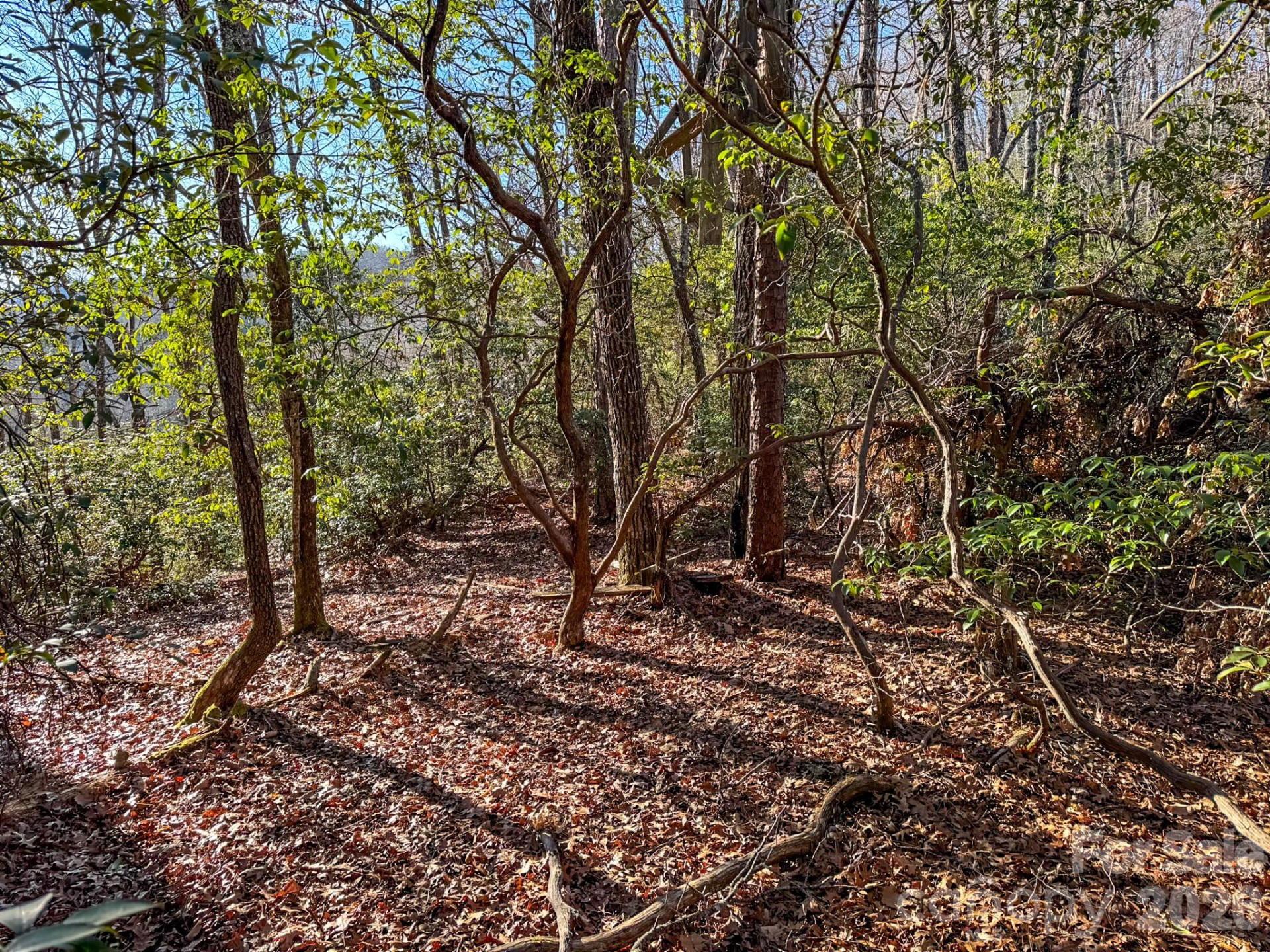 1647 Mills River Way - Photo 29