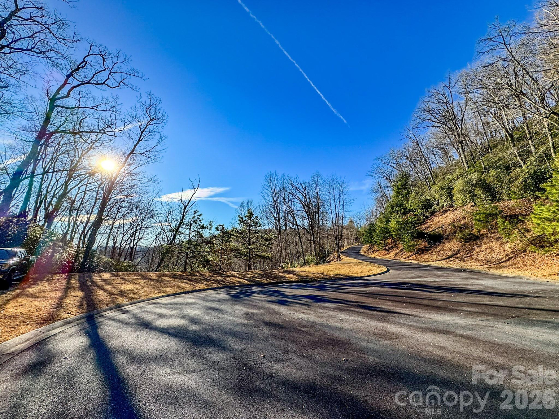 1647 Mills River Way - Photo 30