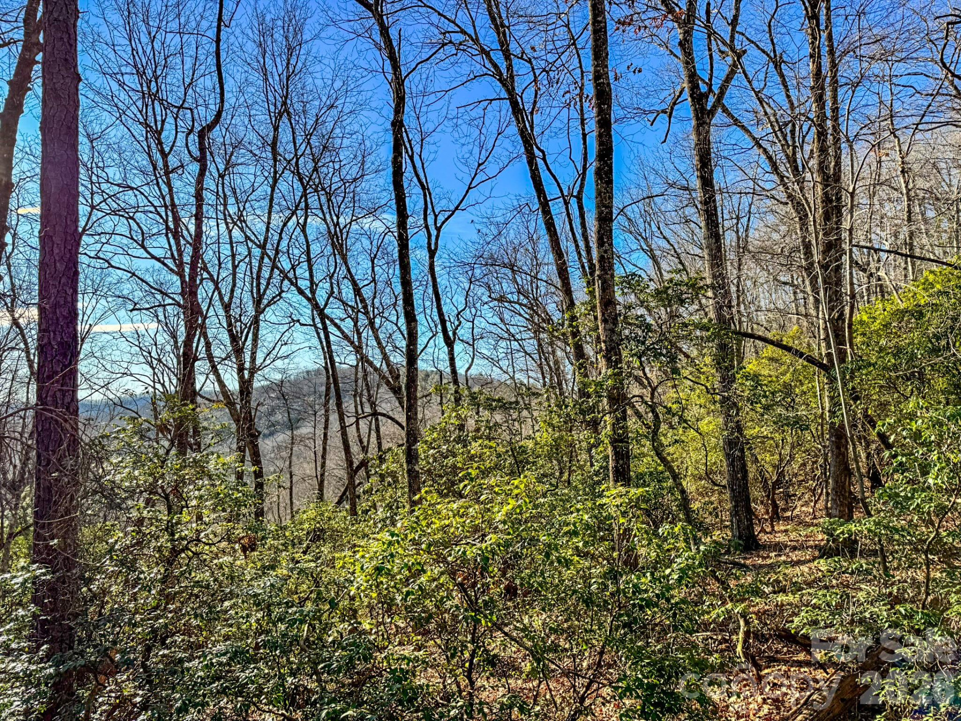 1647 Mills River Way - Photo 31