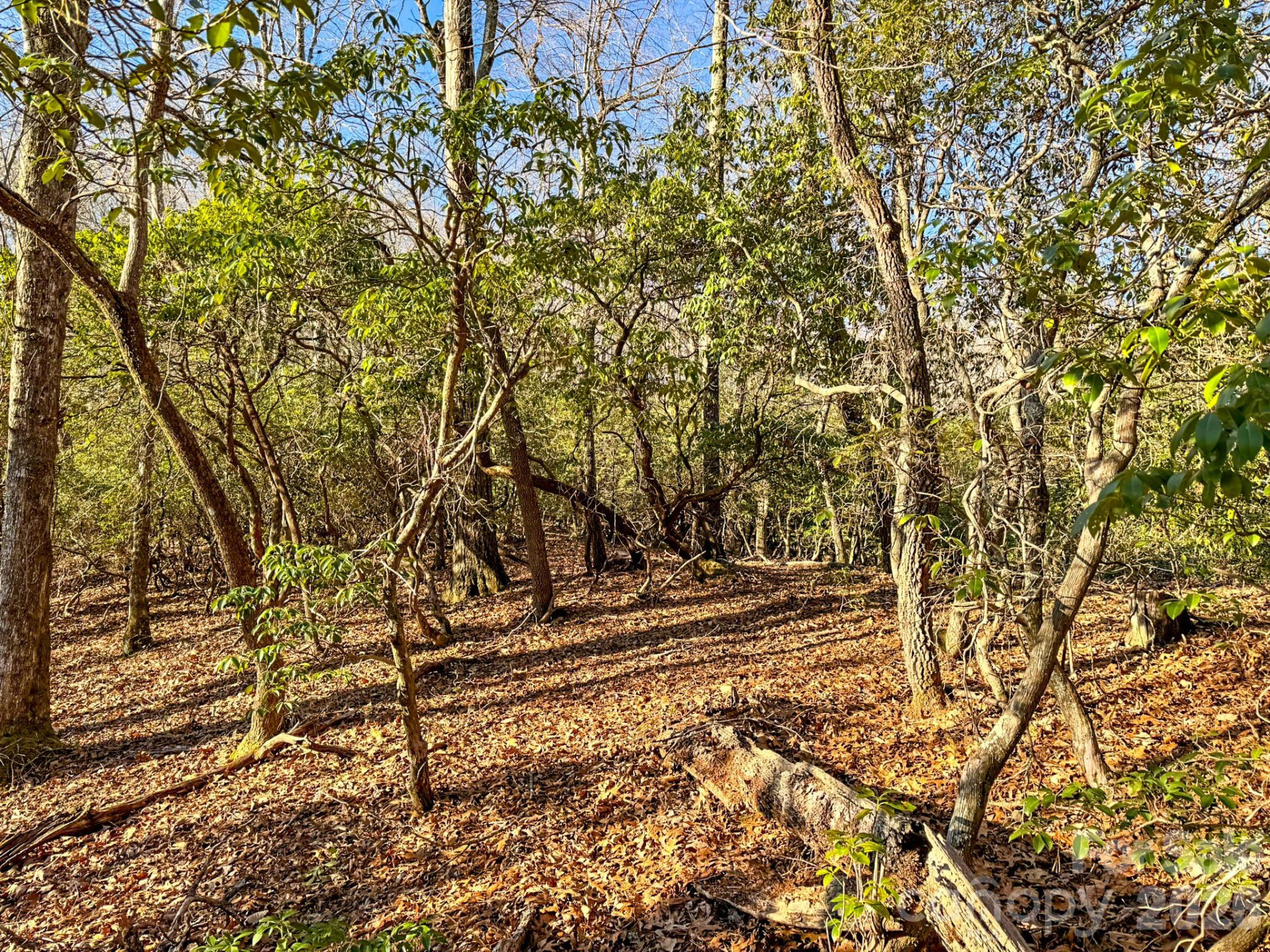 1647 Mills River Way - Photo 32