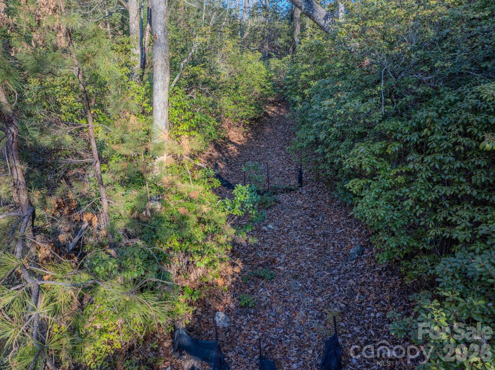 1647 Mills River Way - Photo 33