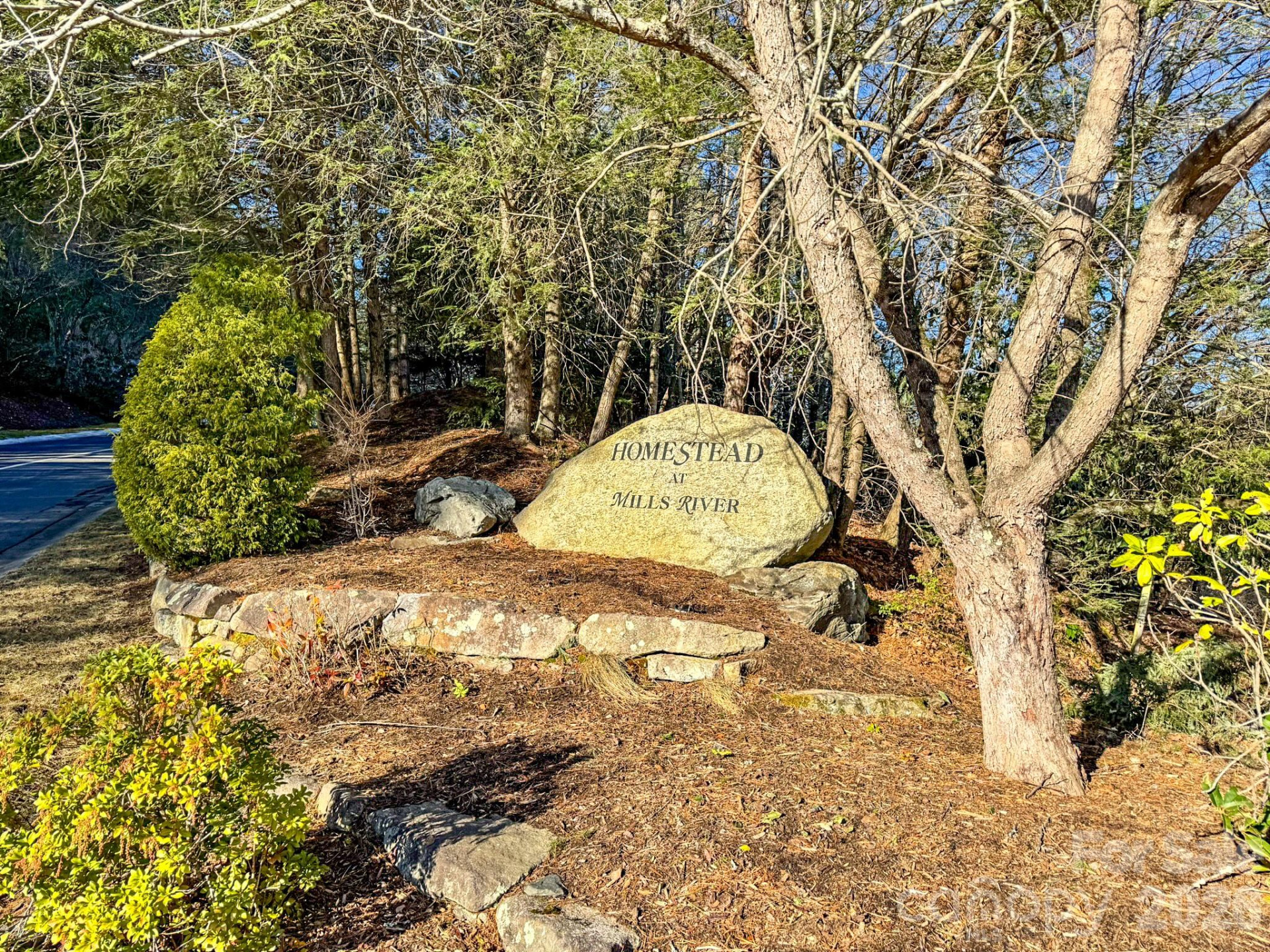 1647 Mills River Way - Photo 35