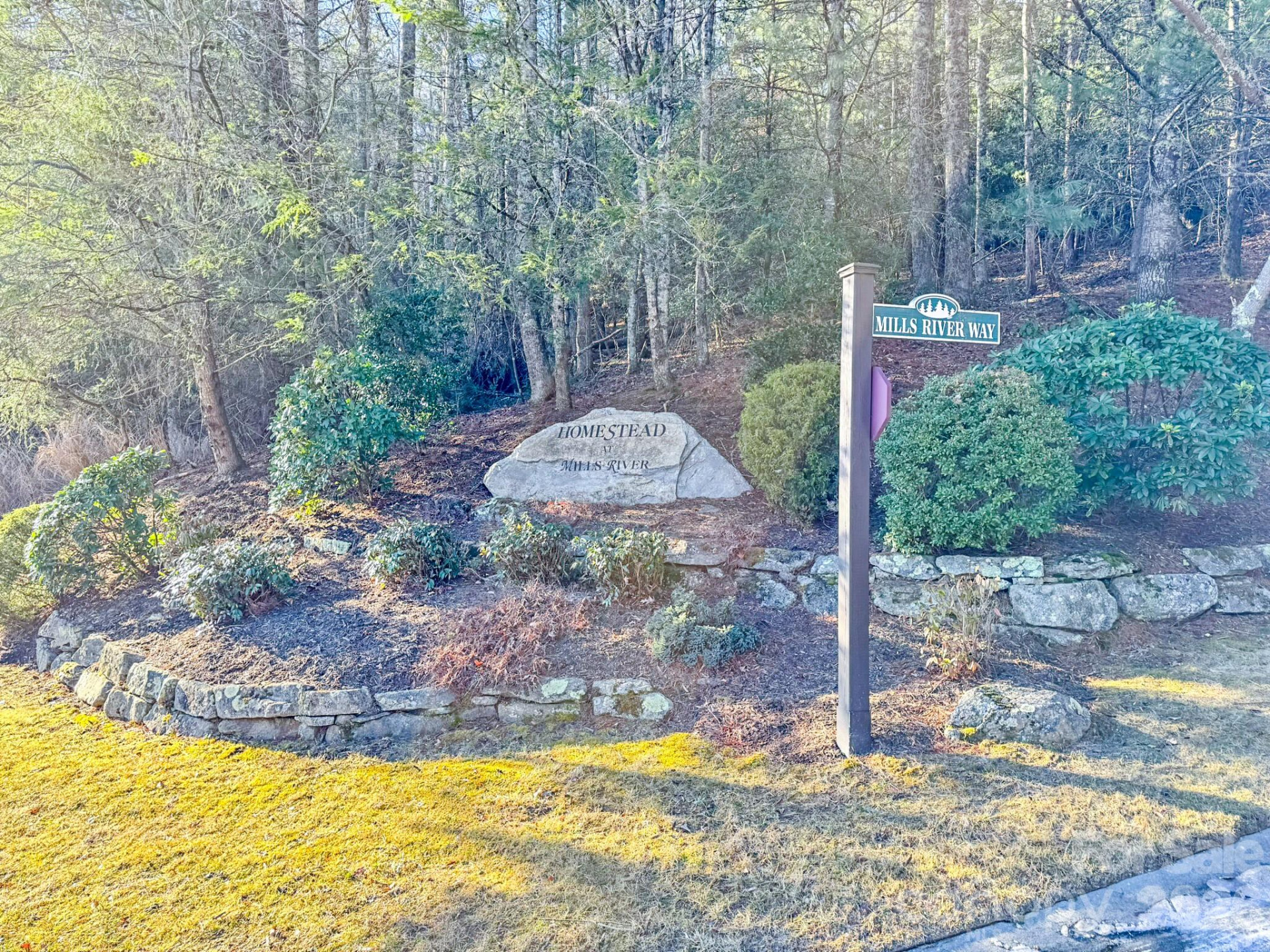 1647 Mills River Way - Photo 36