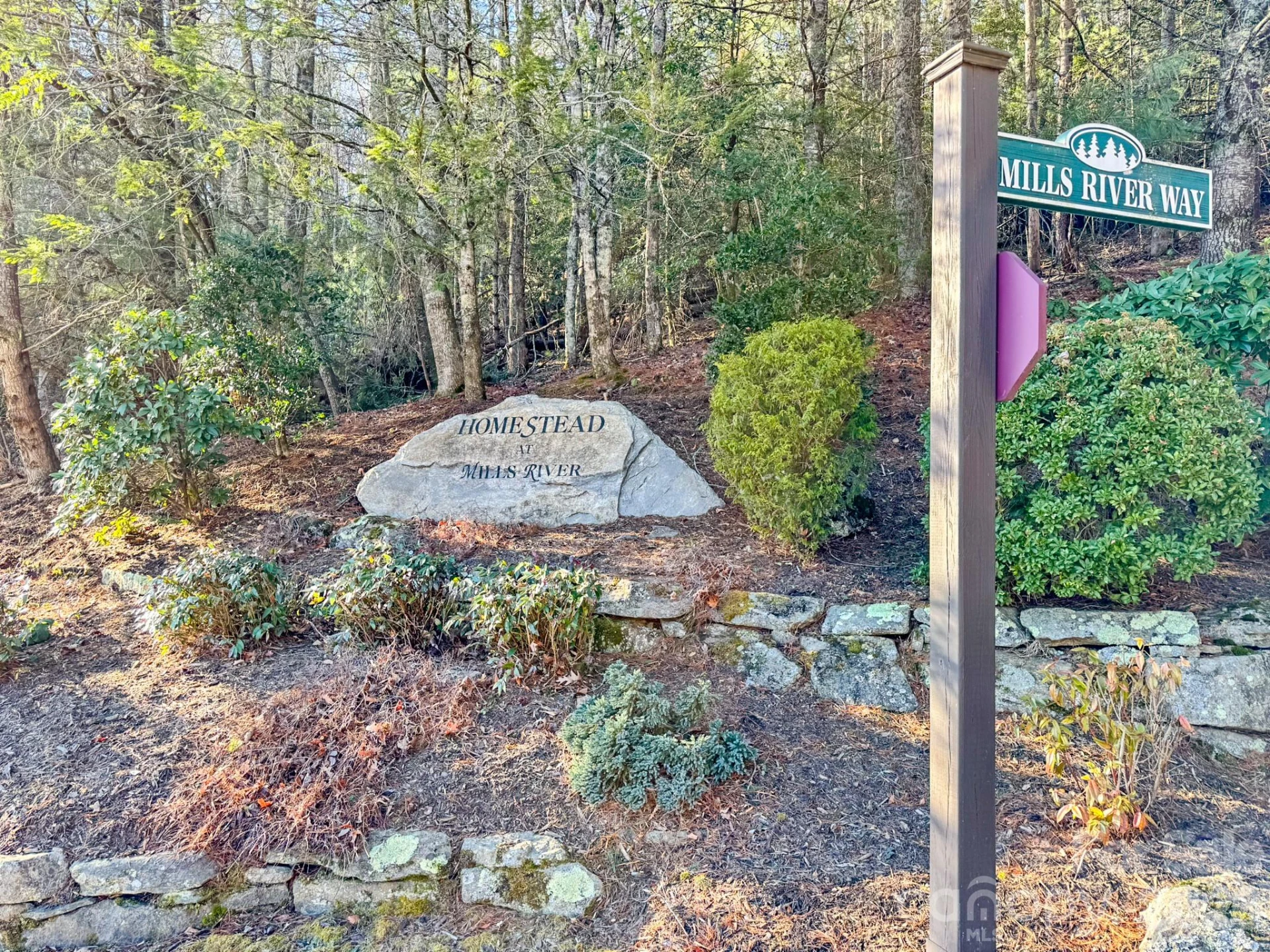 1647 Mills River Way - Photo 37