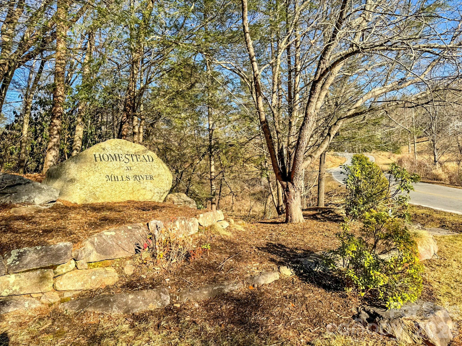 1647 Mills River Way - Photo 38