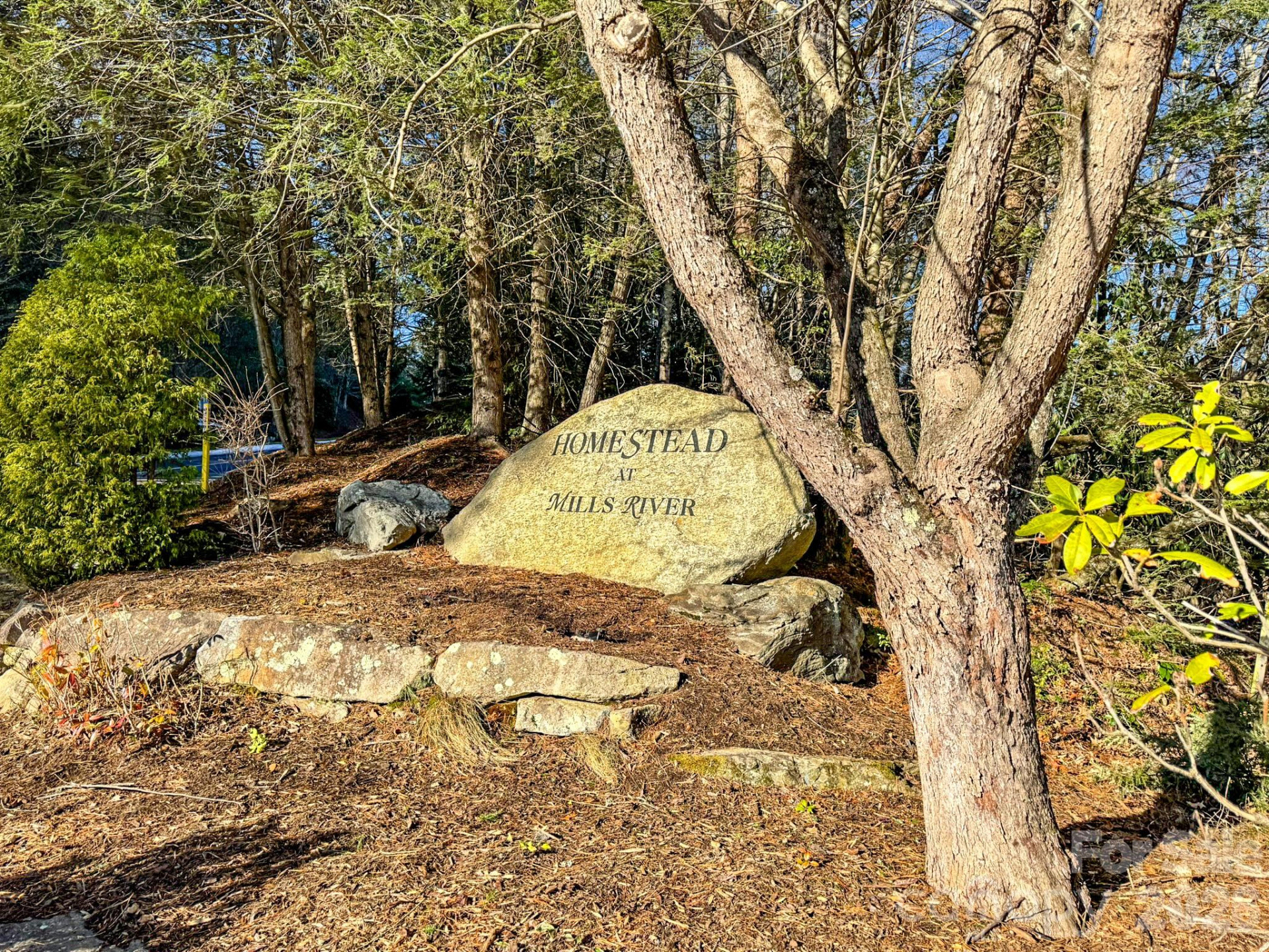 1647 Mills River Way - Photo 39