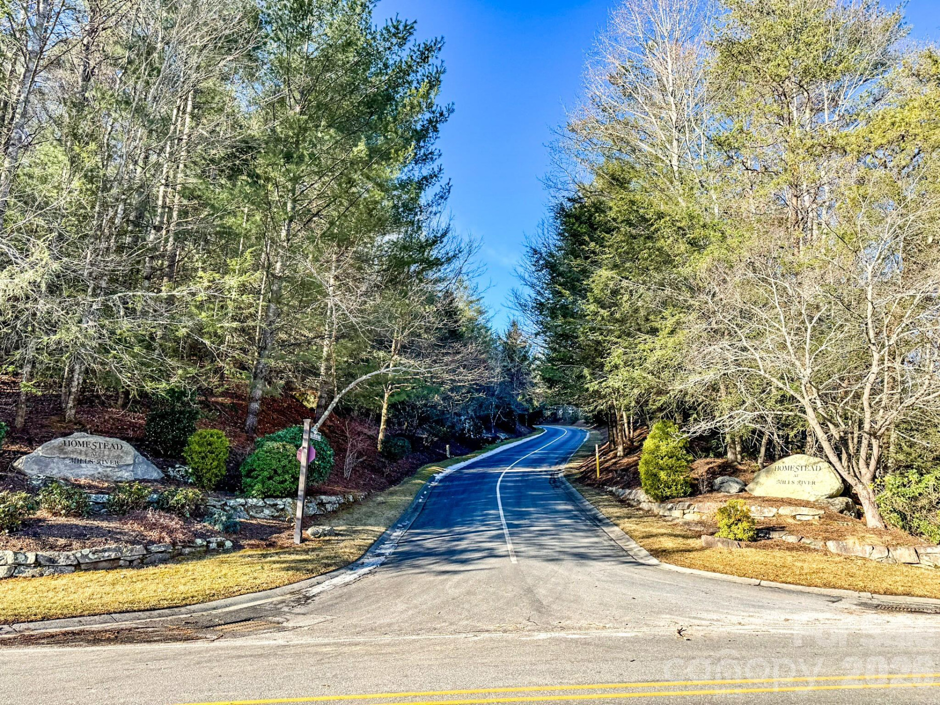 1647 Mills River Way - Photo 40