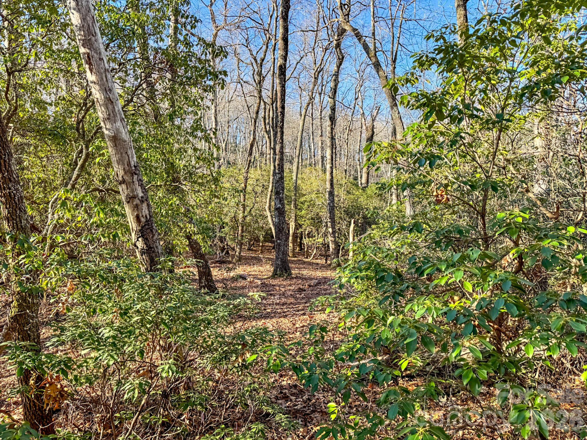 1647 Mills River Way - Photo 5