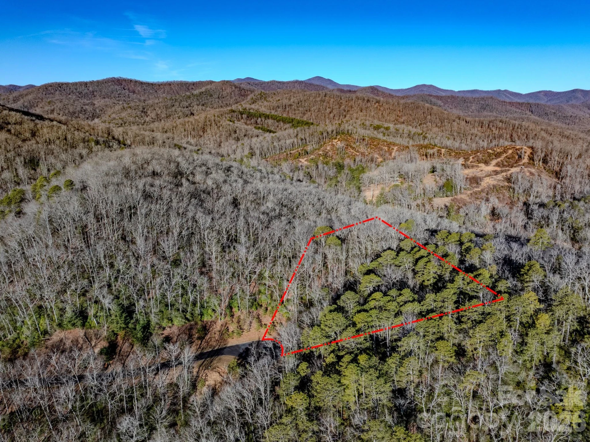 1647 Mills River Way - Photo 6
