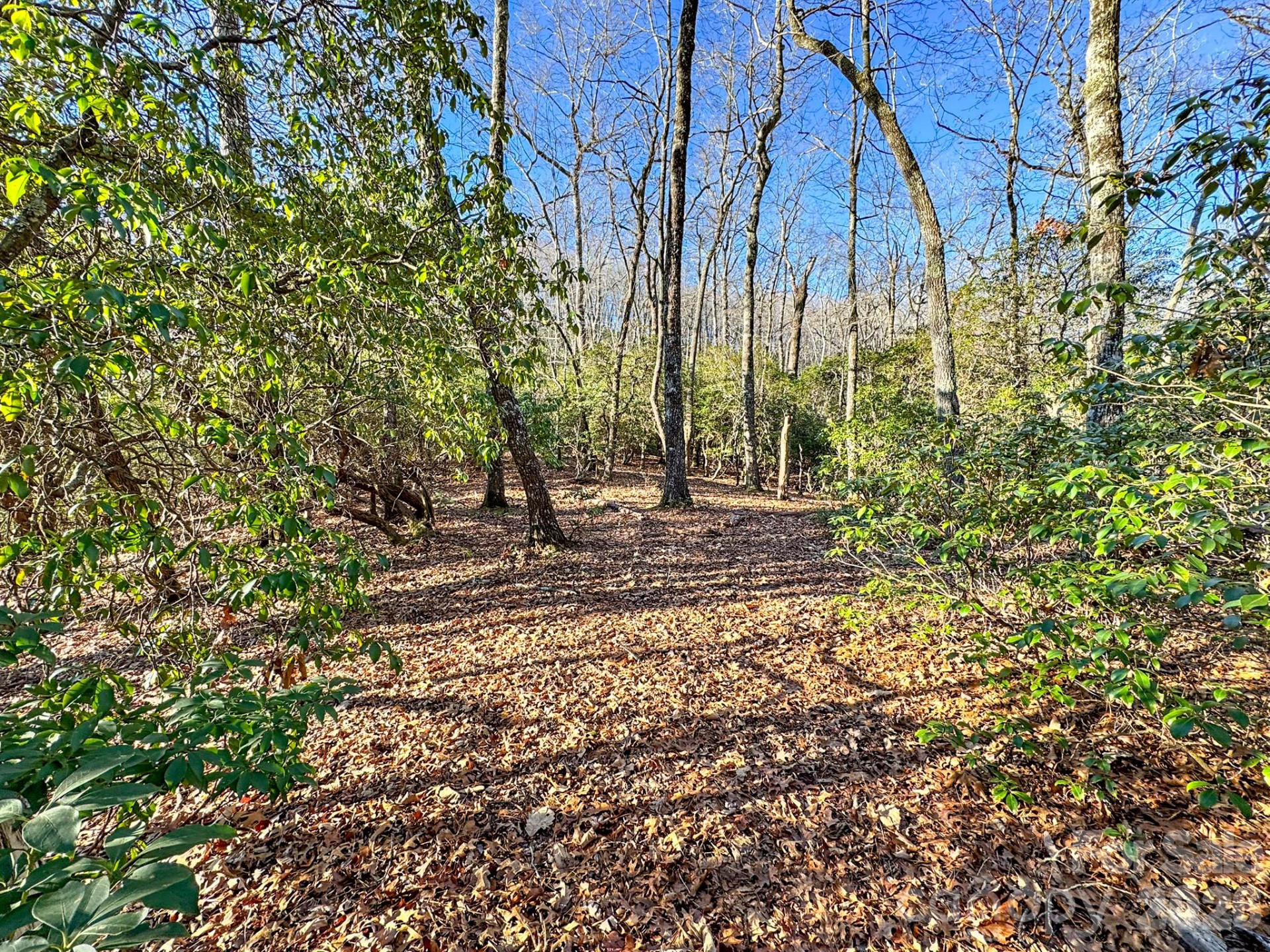 1647 Mills River Way - Photo 7