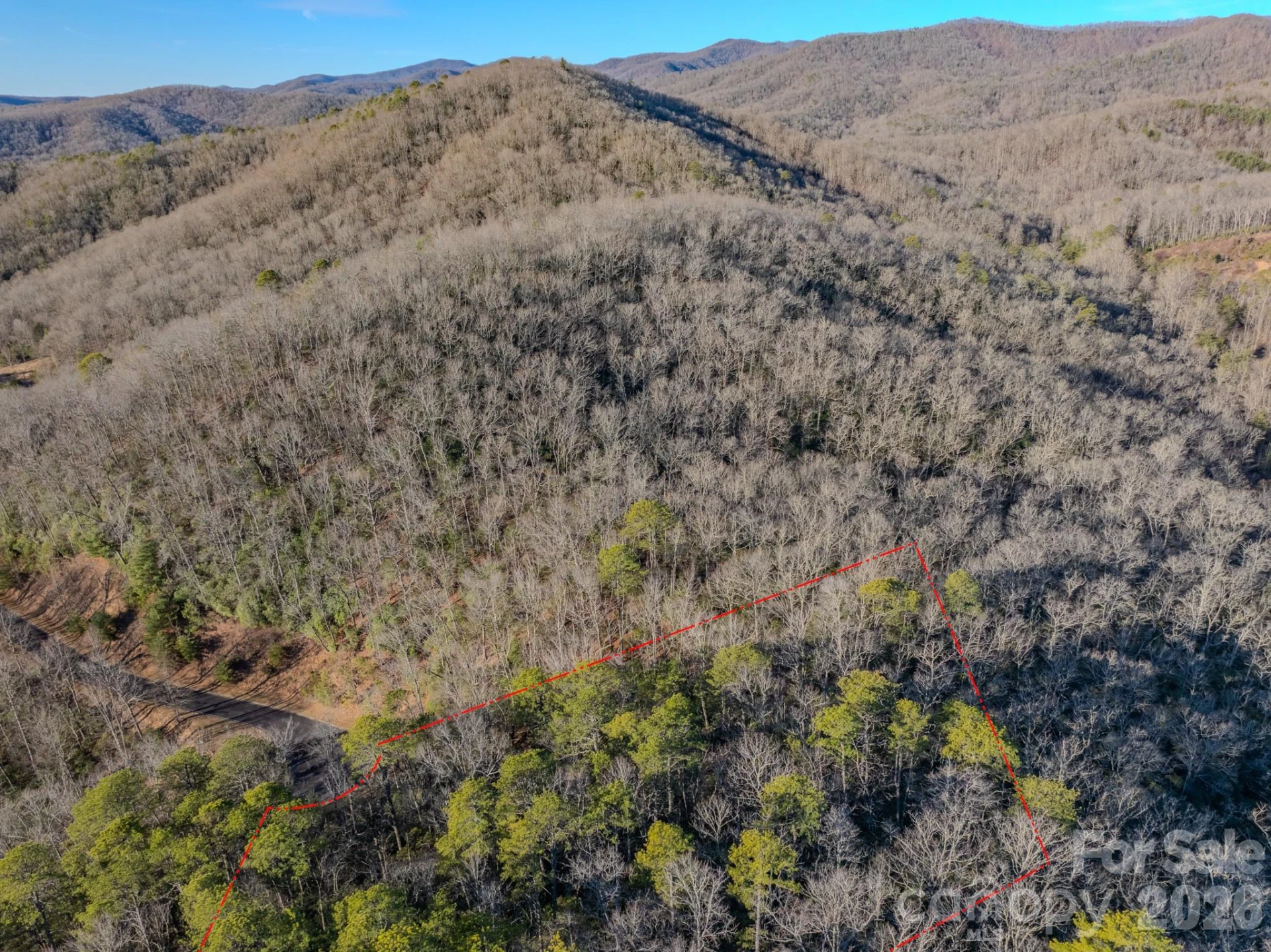1647 Mills River Way - Photo 8
