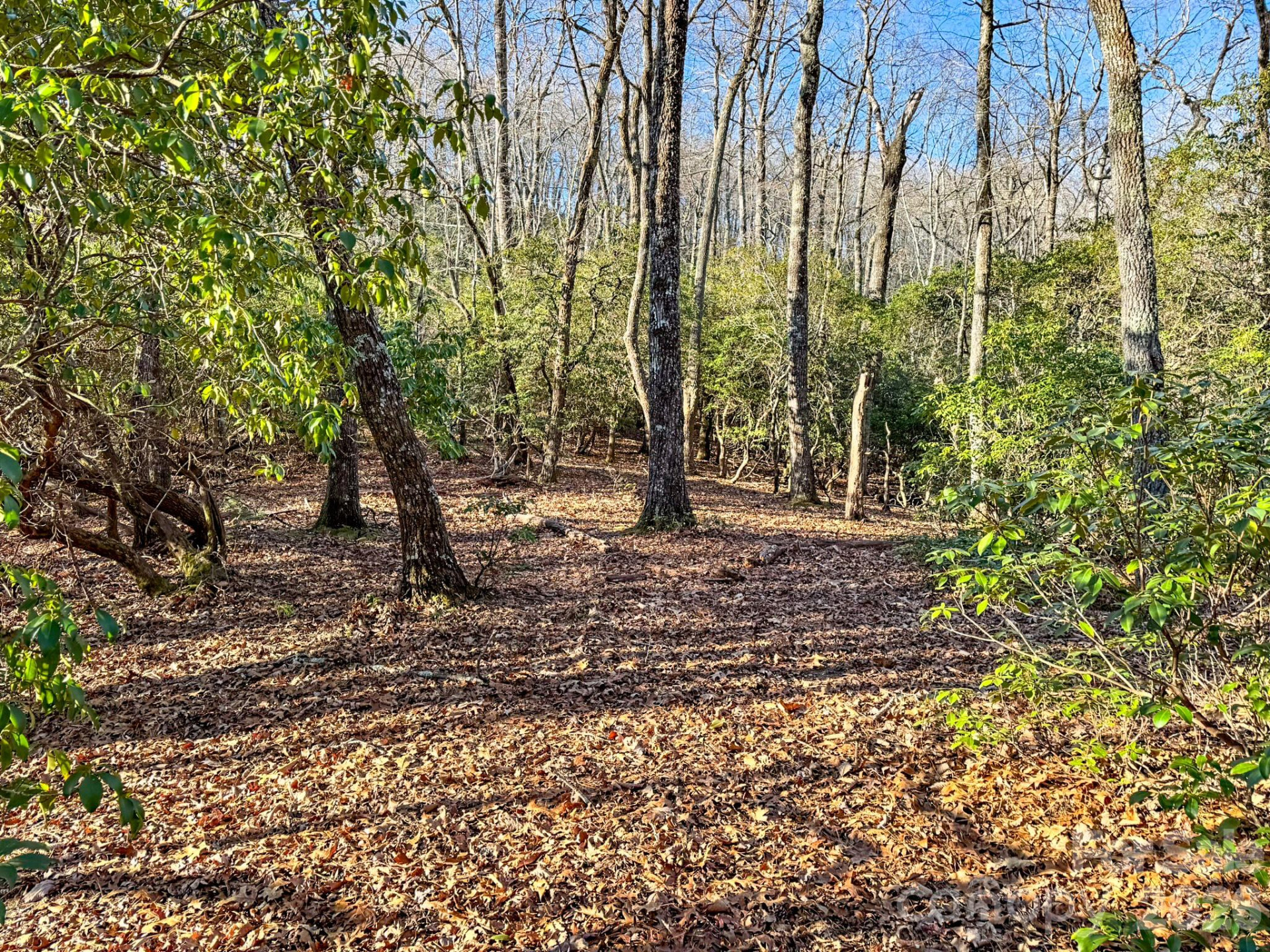 1647 Mills River Way - Photo 9