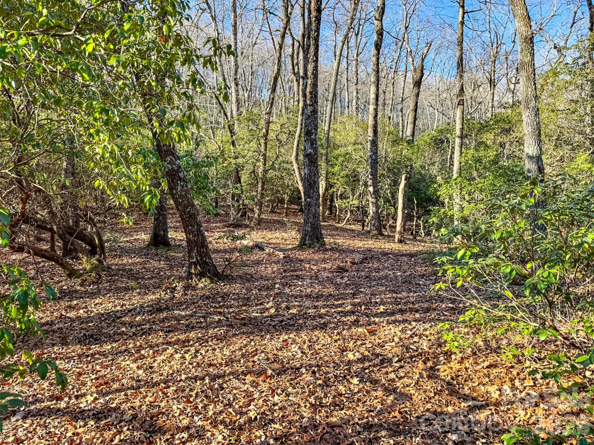 1647 Mills River Way - Photo 9