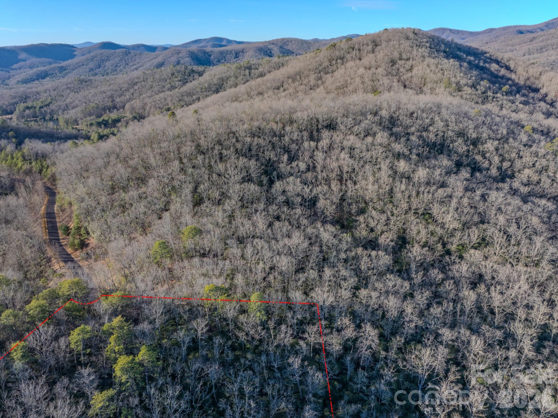 1647 Mills River Way - Photo 10