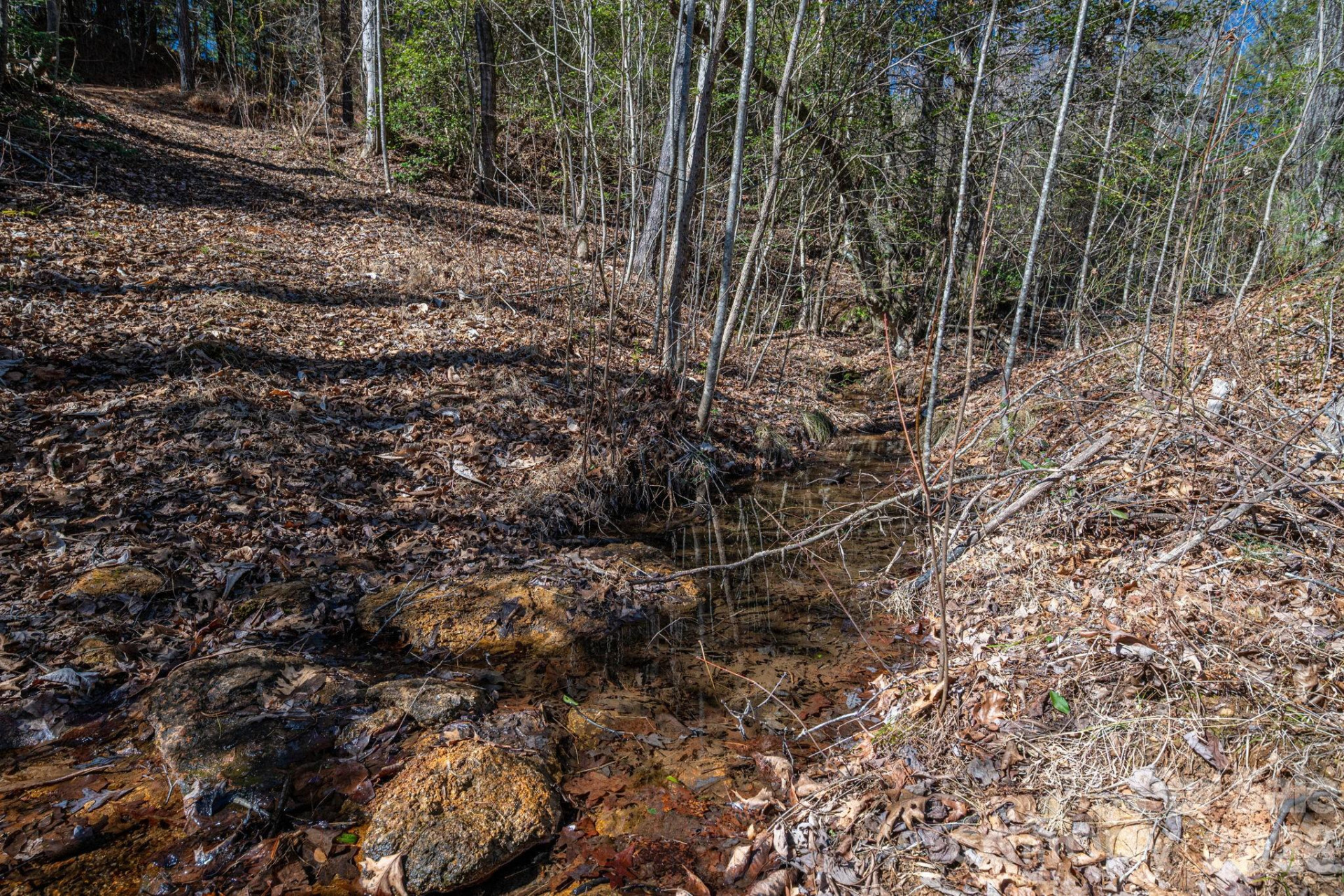 6235 Hwy 18 None - Photo 11