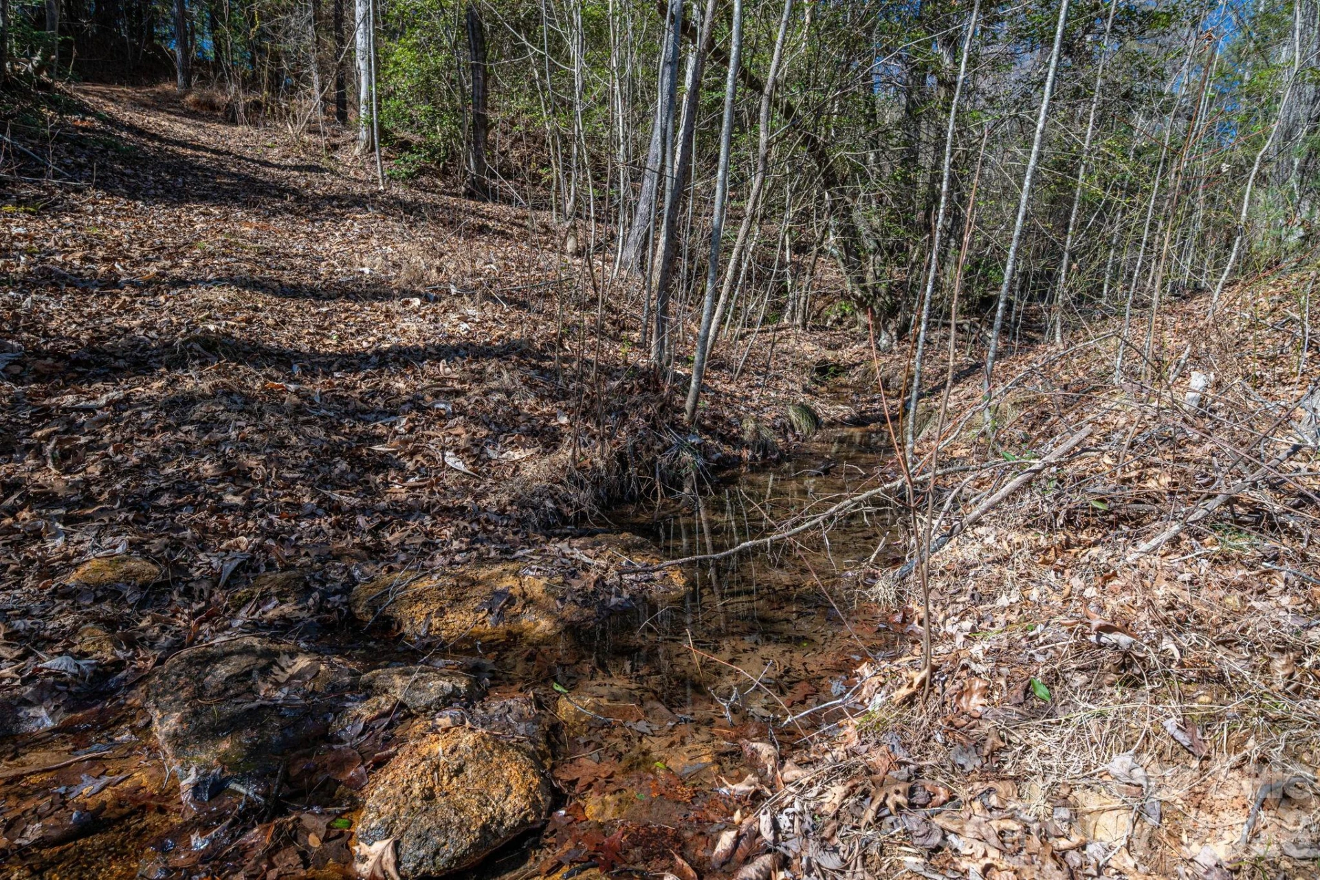 6235 Hwy 18 None - Photo 11