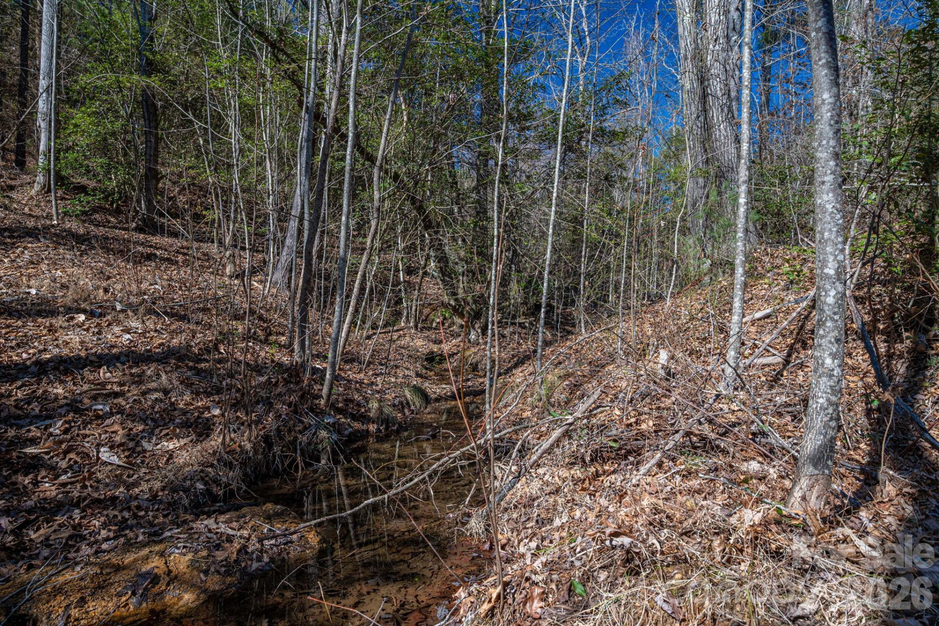 6235 Hwy 18 None - Photo 12