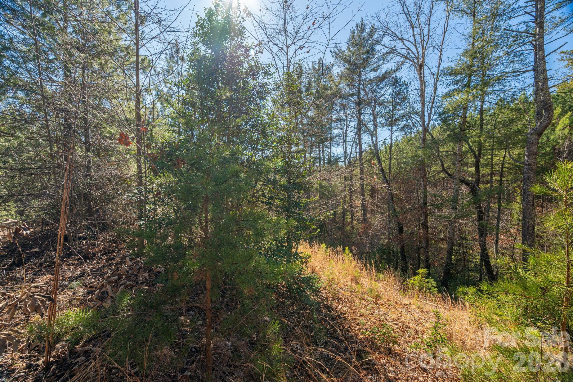 6235 Hwy 18 None - Photo 13